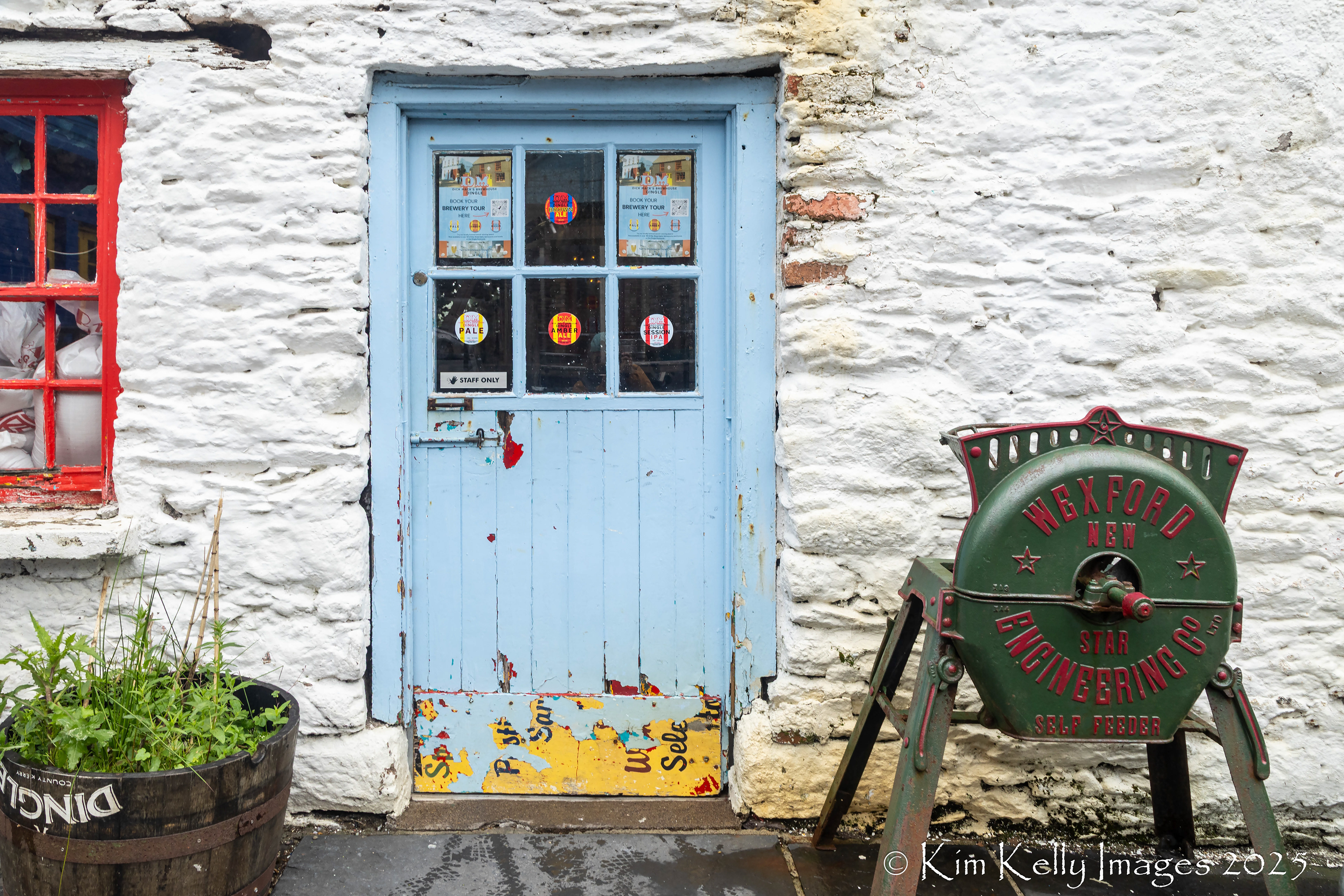 Irish Door #13