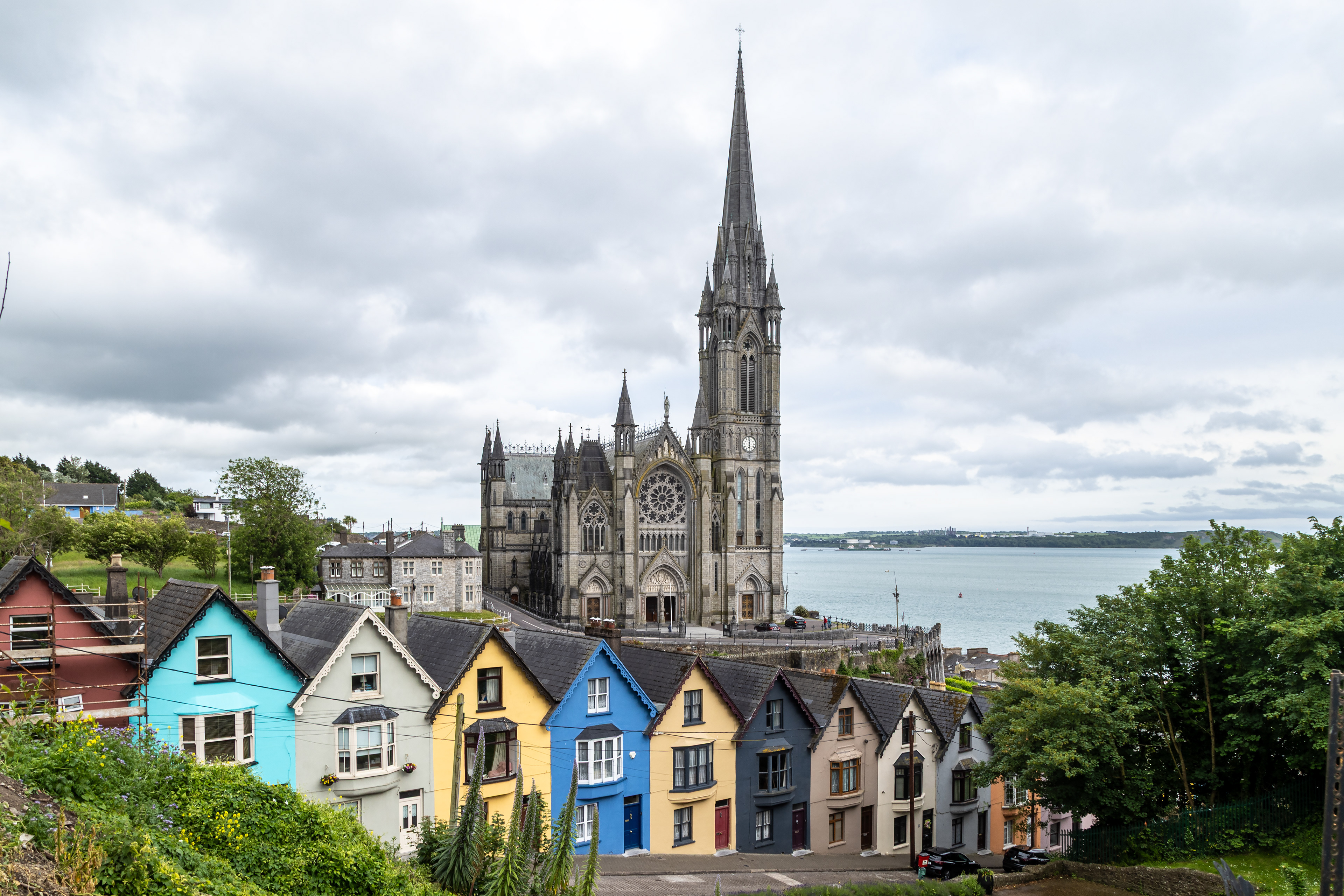 Deck of Cards and St. Colmans Cathedral - Cobh