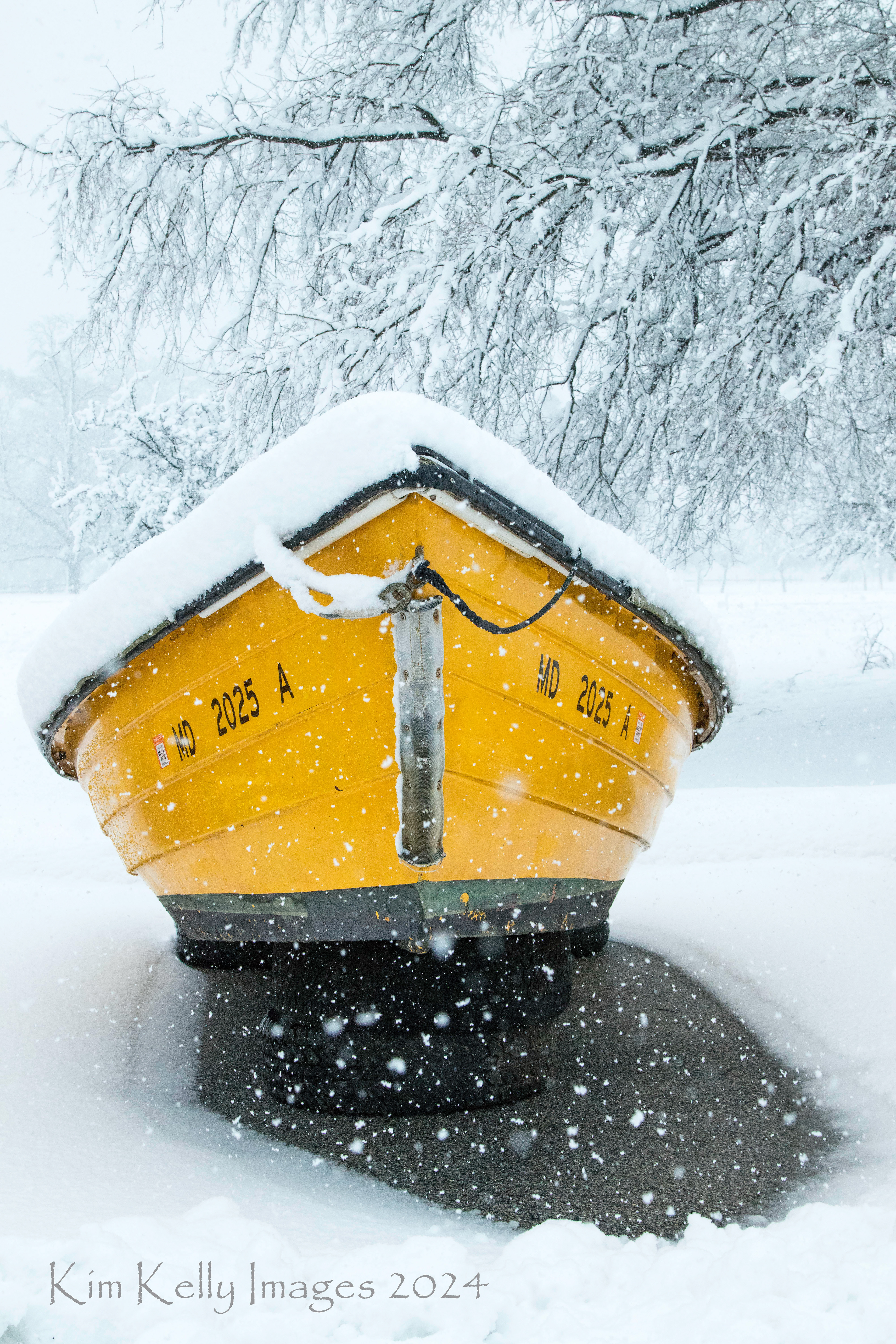 Snowing on Yellow Boat 2025
