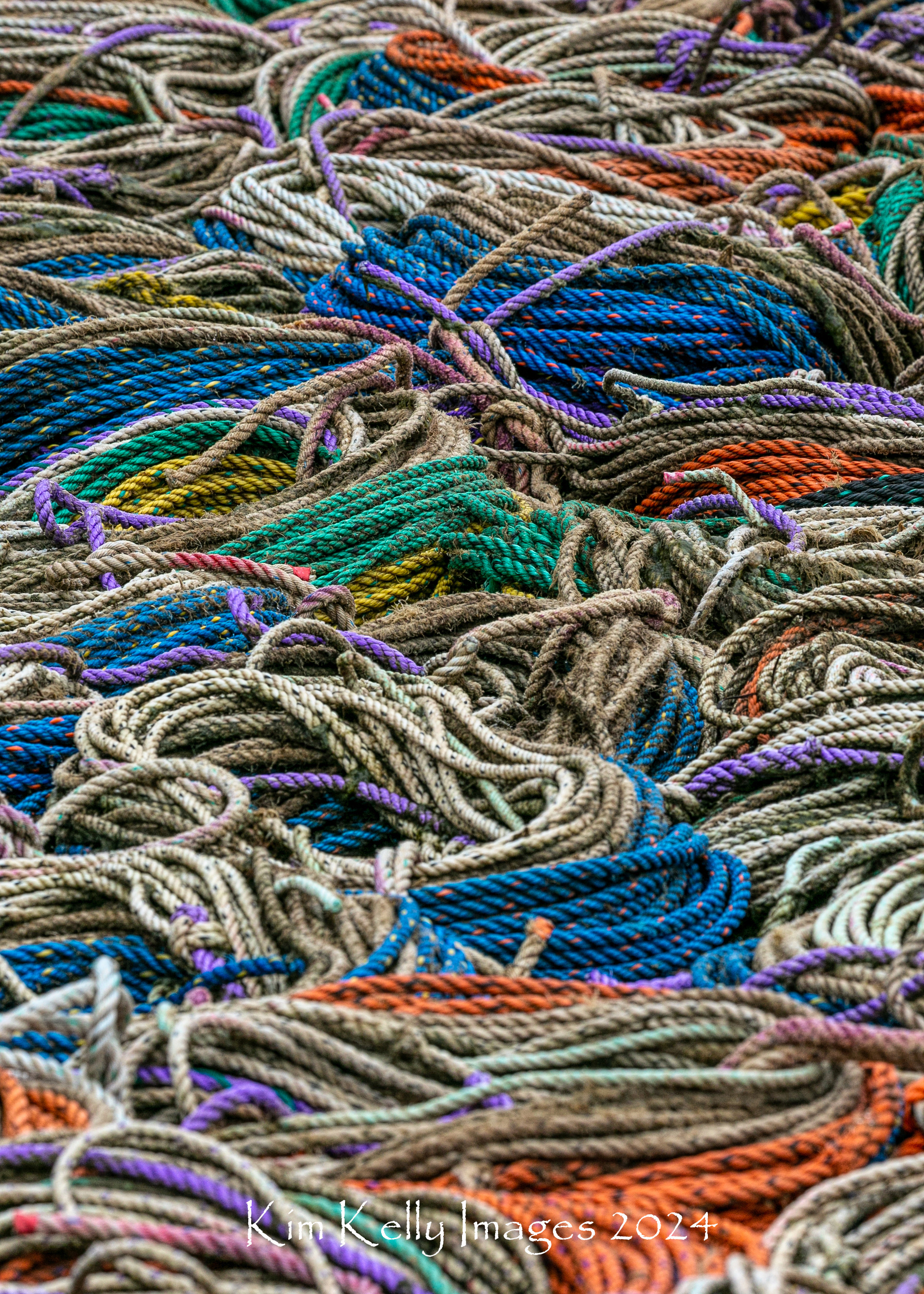 A Tangle of Lobster Buoy Lines