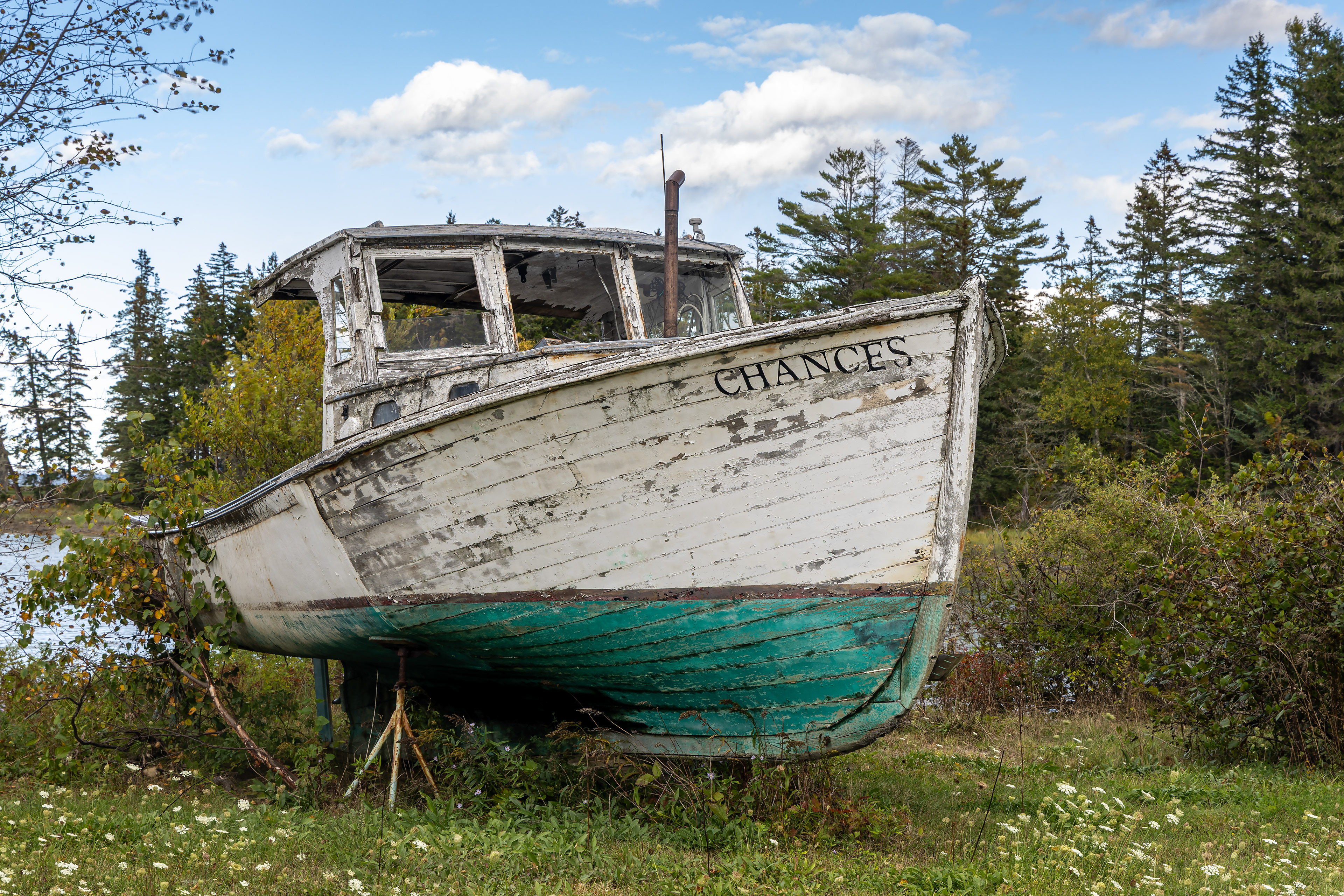 Chances Aren't Looking Too Good