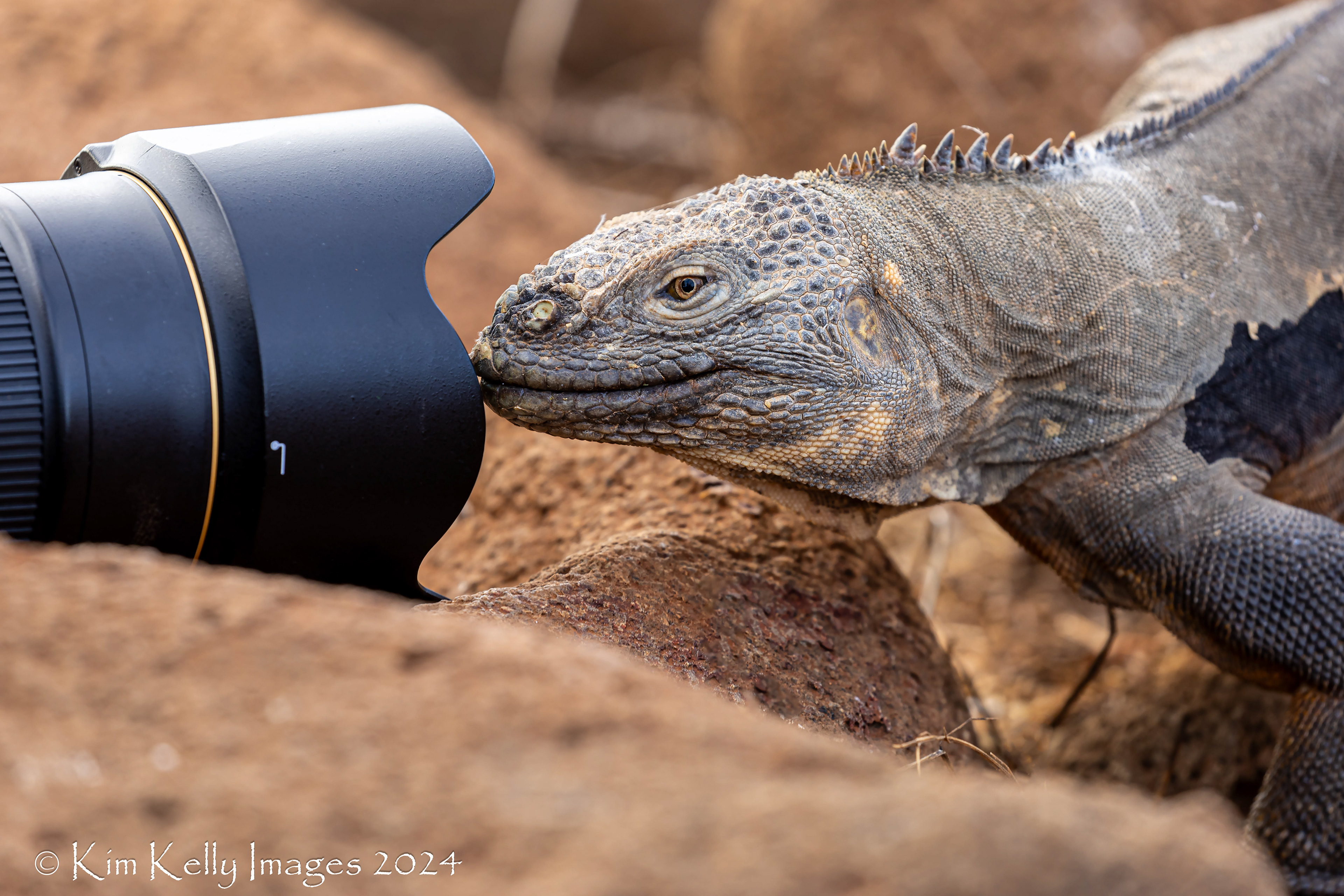Ready for My Closeup Mr. DeMille
