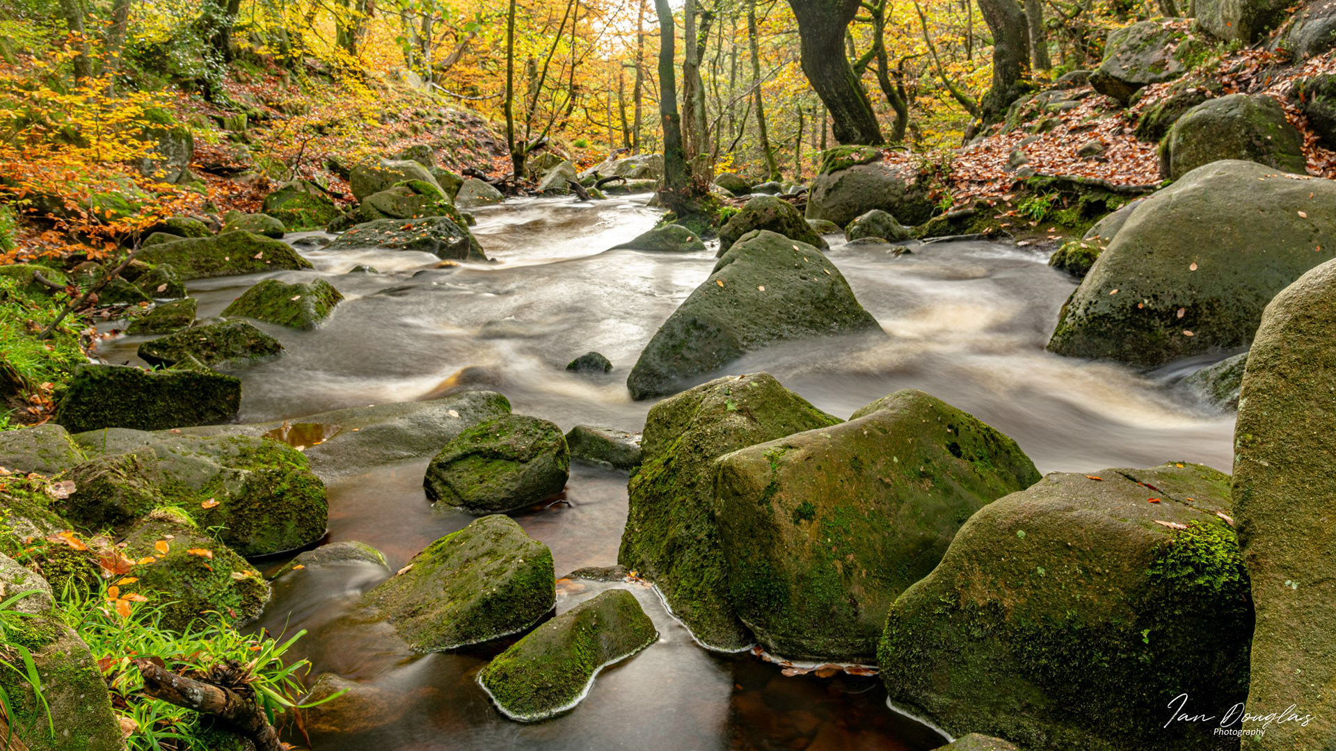Padley Gorge