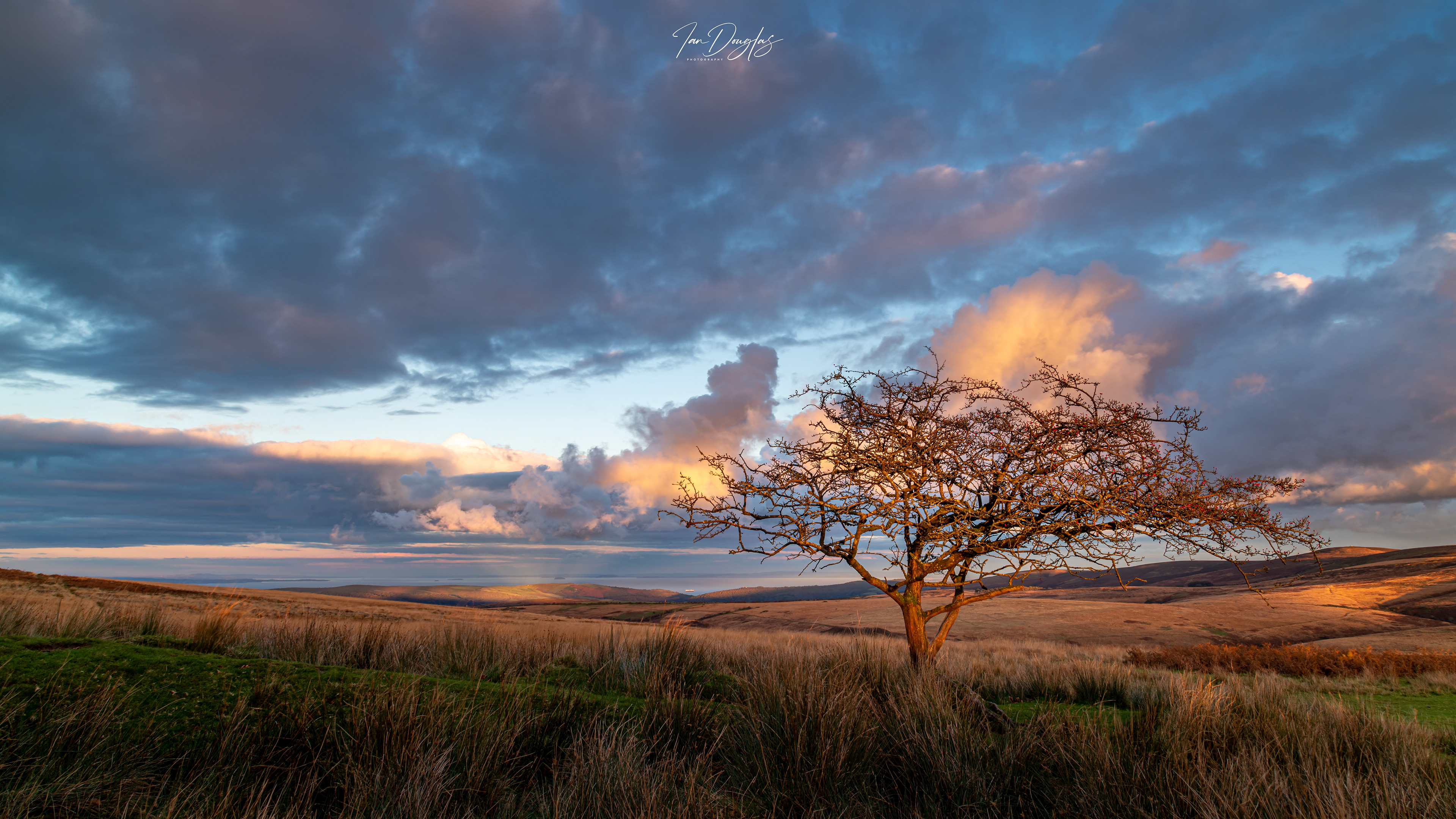 Porlock Hill