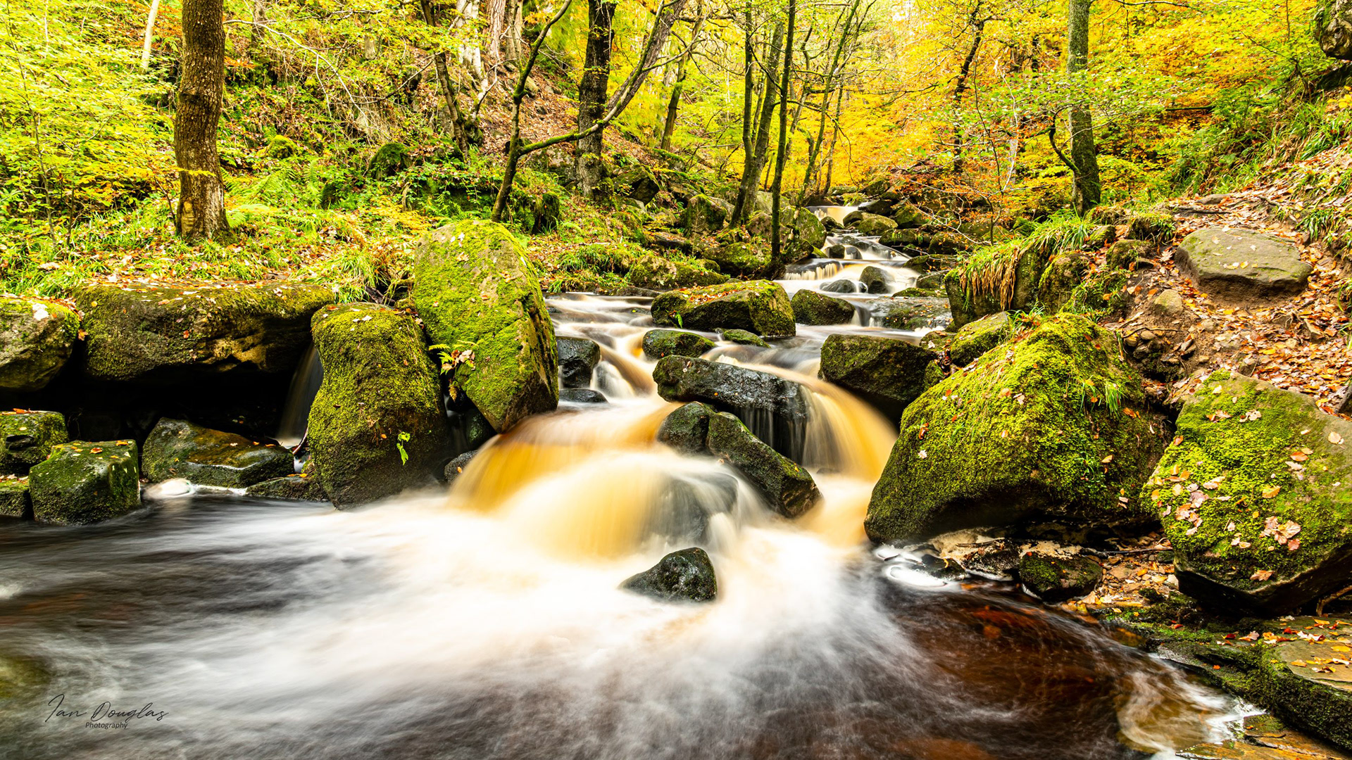 Padley Gorge