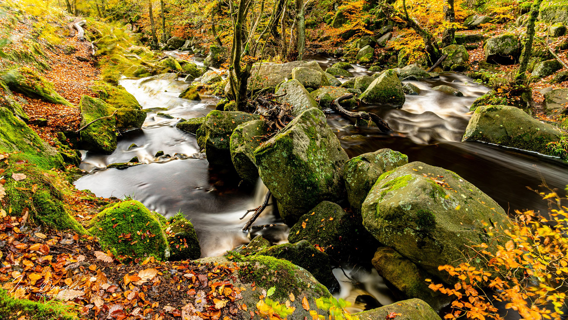 Padley Gorge