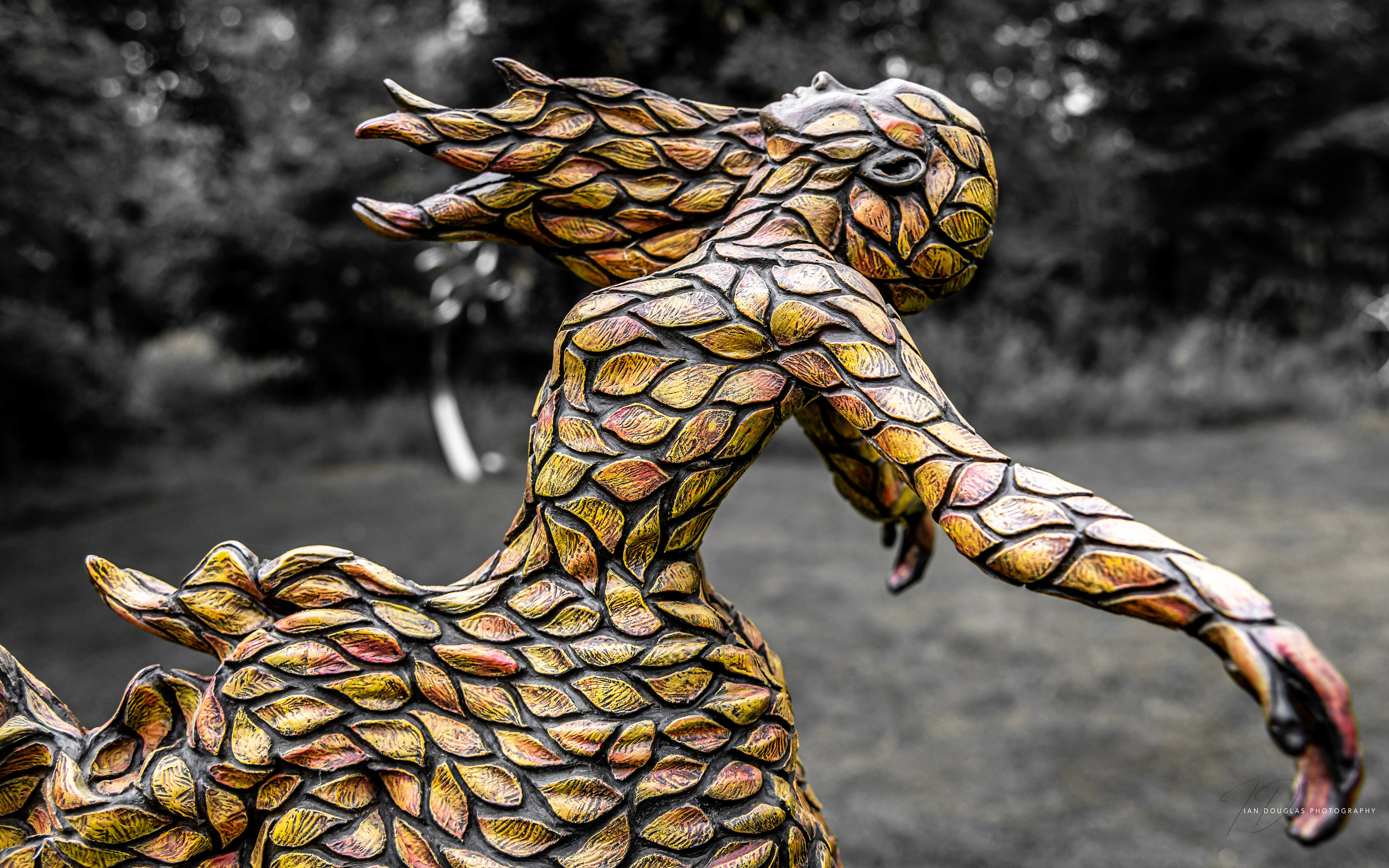 Elemental sculpture park