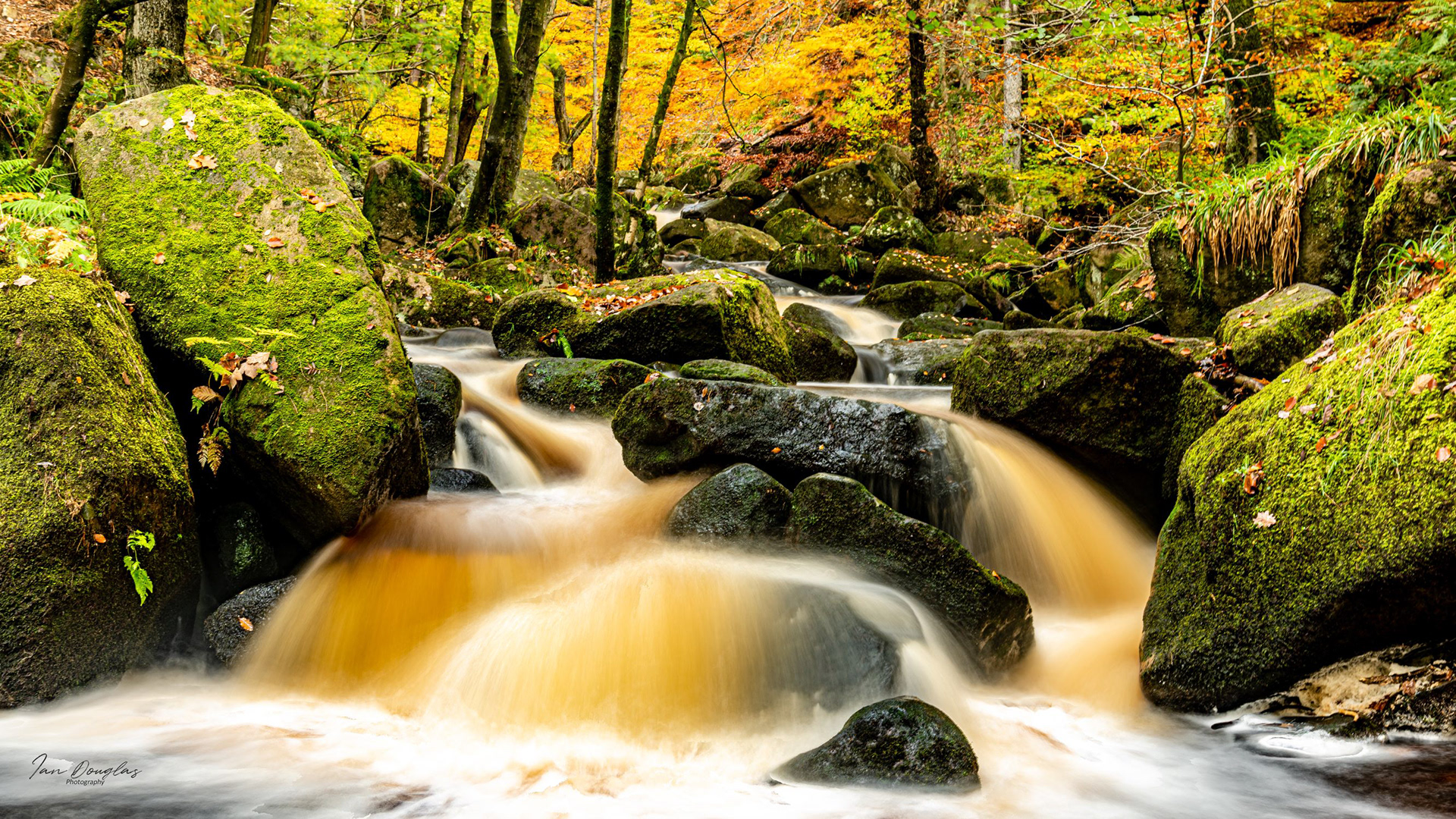 Padley Gorge