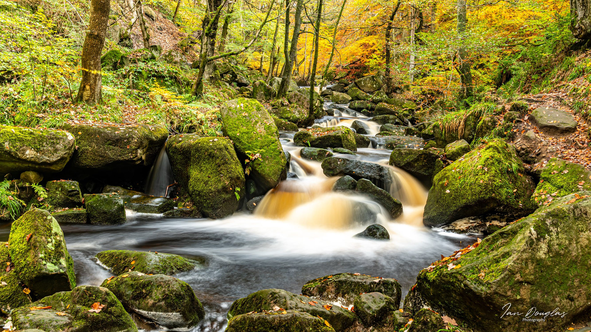 Padley Gorge