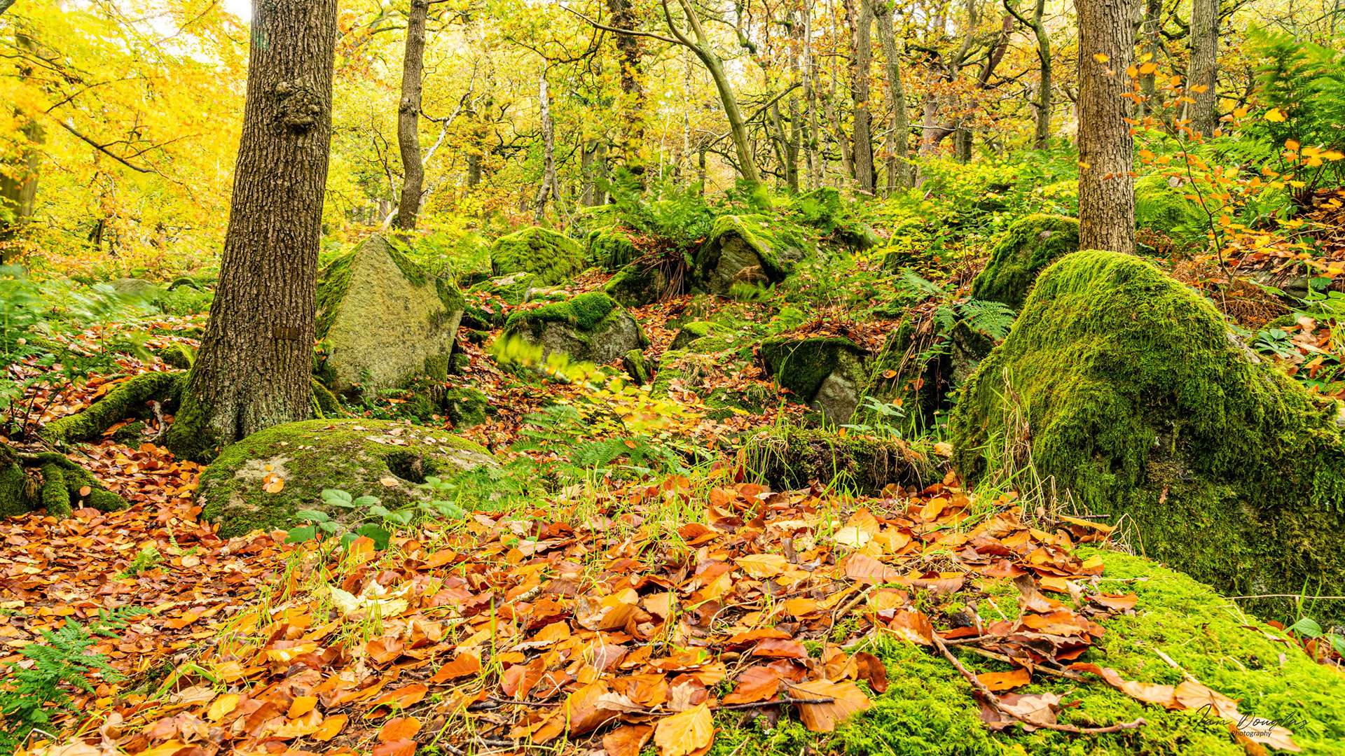 Padley Gorge