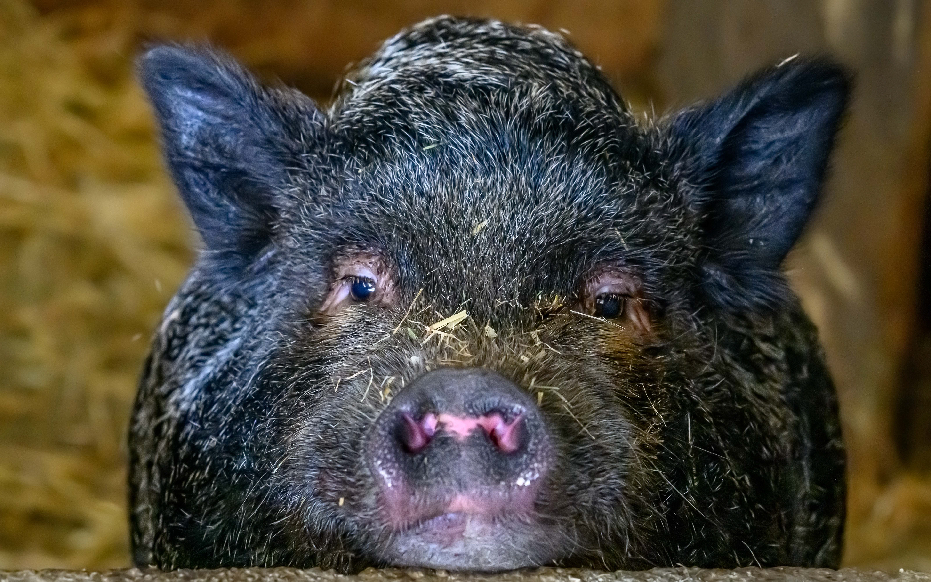 ⭐️Needs desaturating a bit