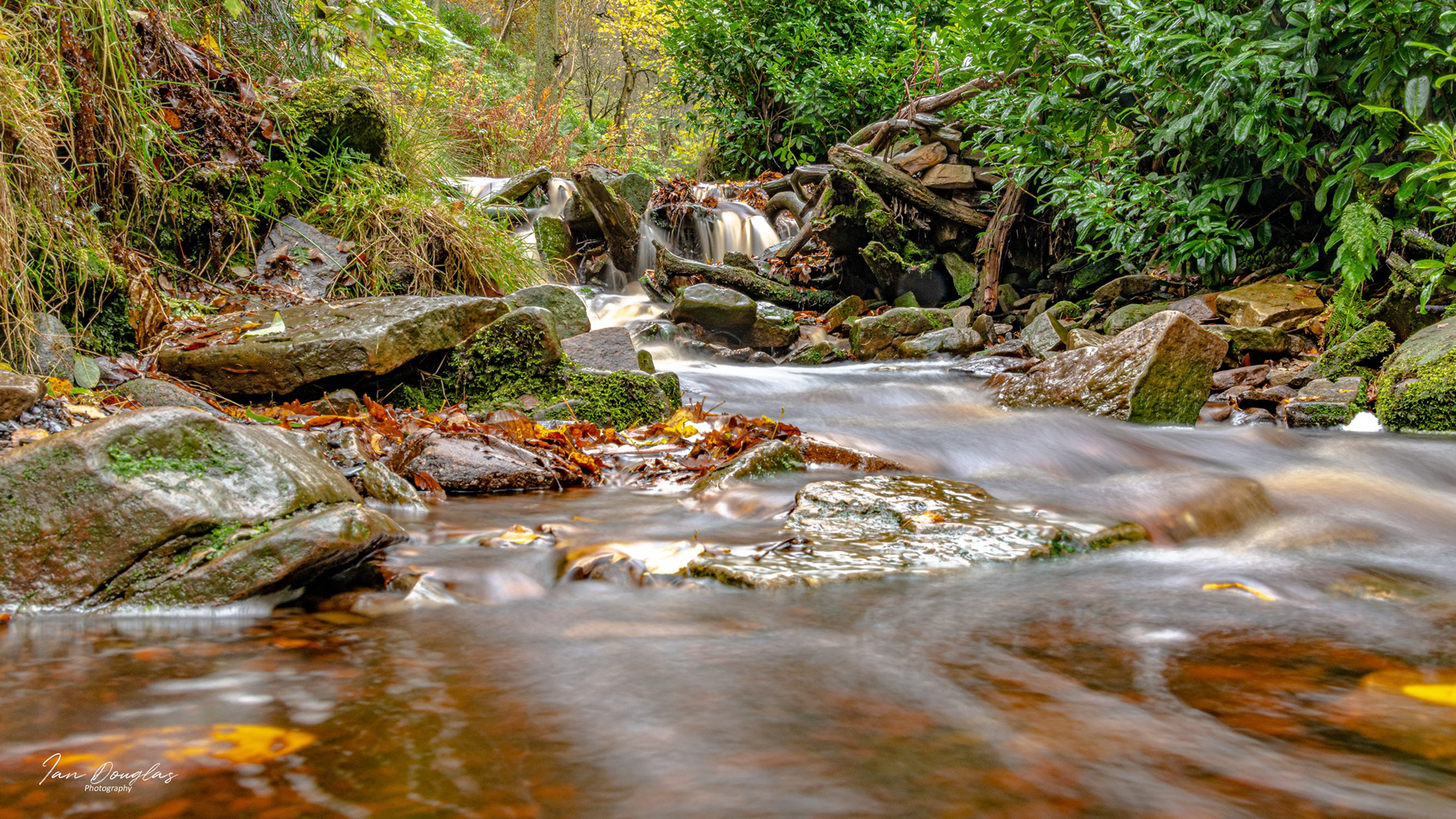 Padley Gorge