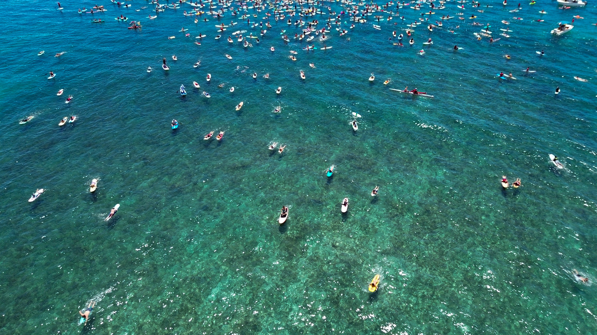 Lahaina, HI - SEPTEMBER 8: Hundreds of surfers gather for a memorial paddle out on the one-month anniversary of the Lahaina Fire at Ukumehame Beach Park in Lahaina, Hawaii on September 8, 2023. (Photo by Mengshin Lin for The Washington Post)