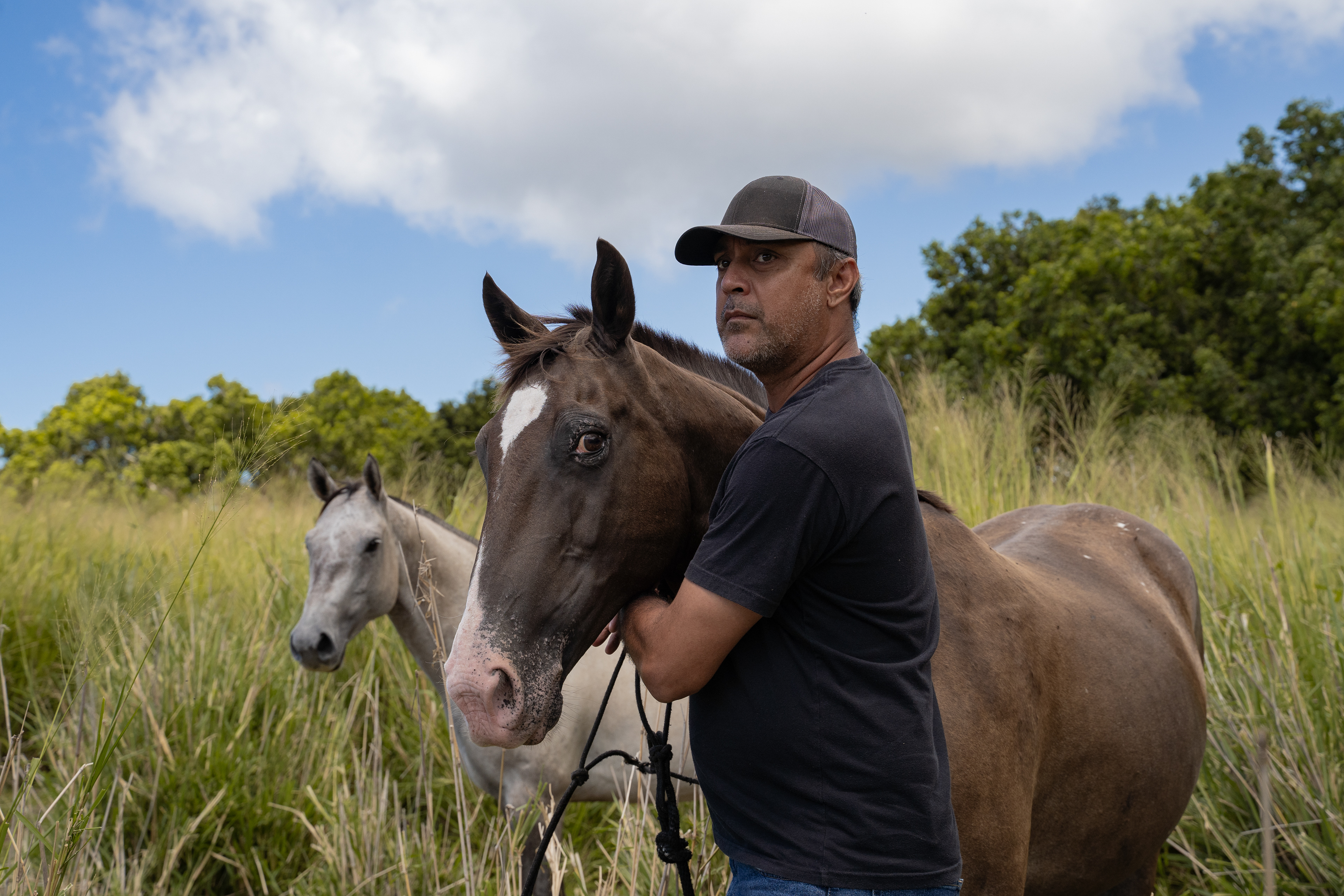 Hana, HI - AUGUST 24: Keone Smith, holds his horses at Uakoko Ranch in Hana, Hawaii on August 24, 2023. (Photo by Mengshin Lin for The Washington Post)