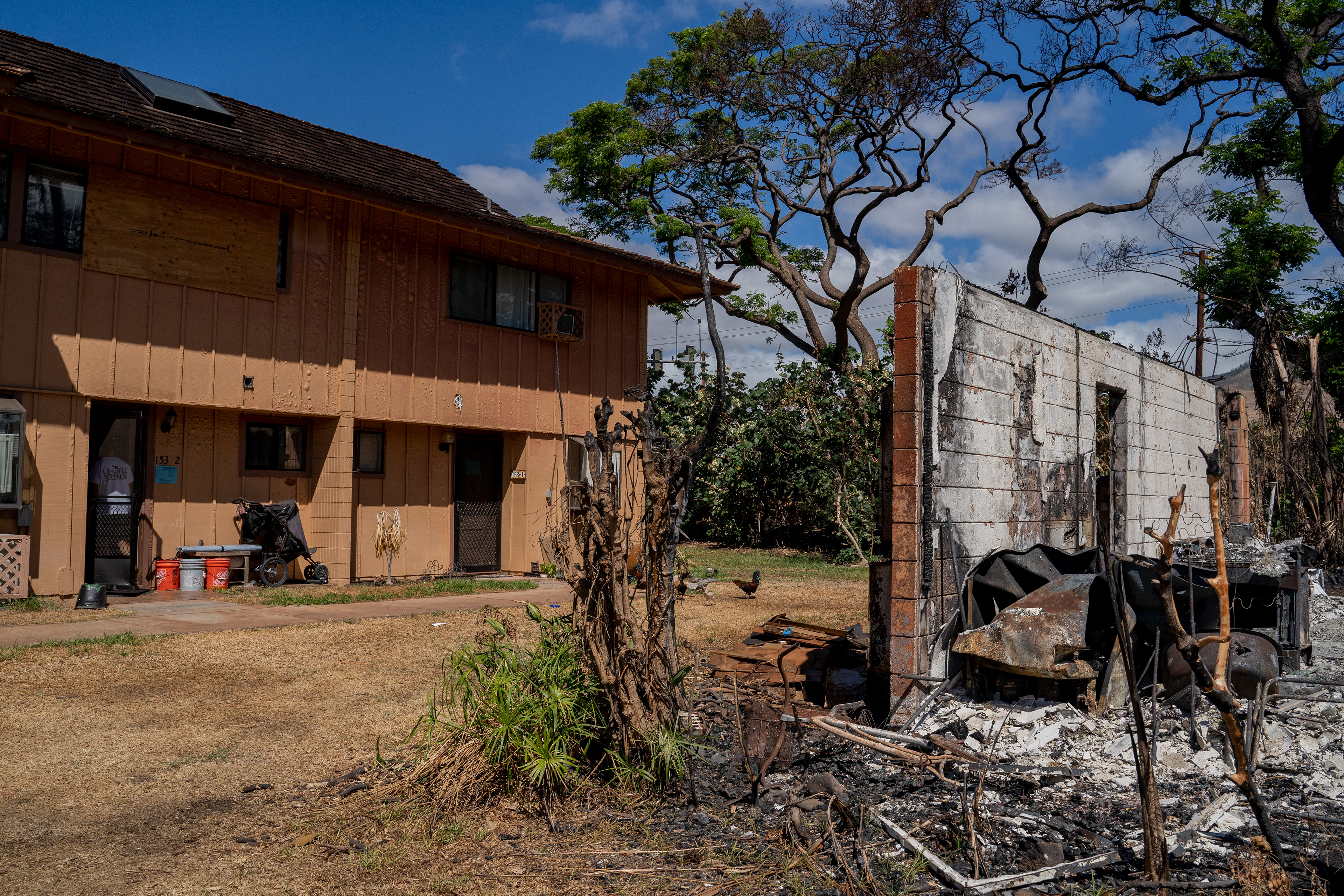 Daniel Skousen walks into his home with a neighboring house burnt down from August’s wildfire on Friday, Nov. 3, 2023, in Lahaina, Hawaii, (AP Photo/Mengshin Lin)