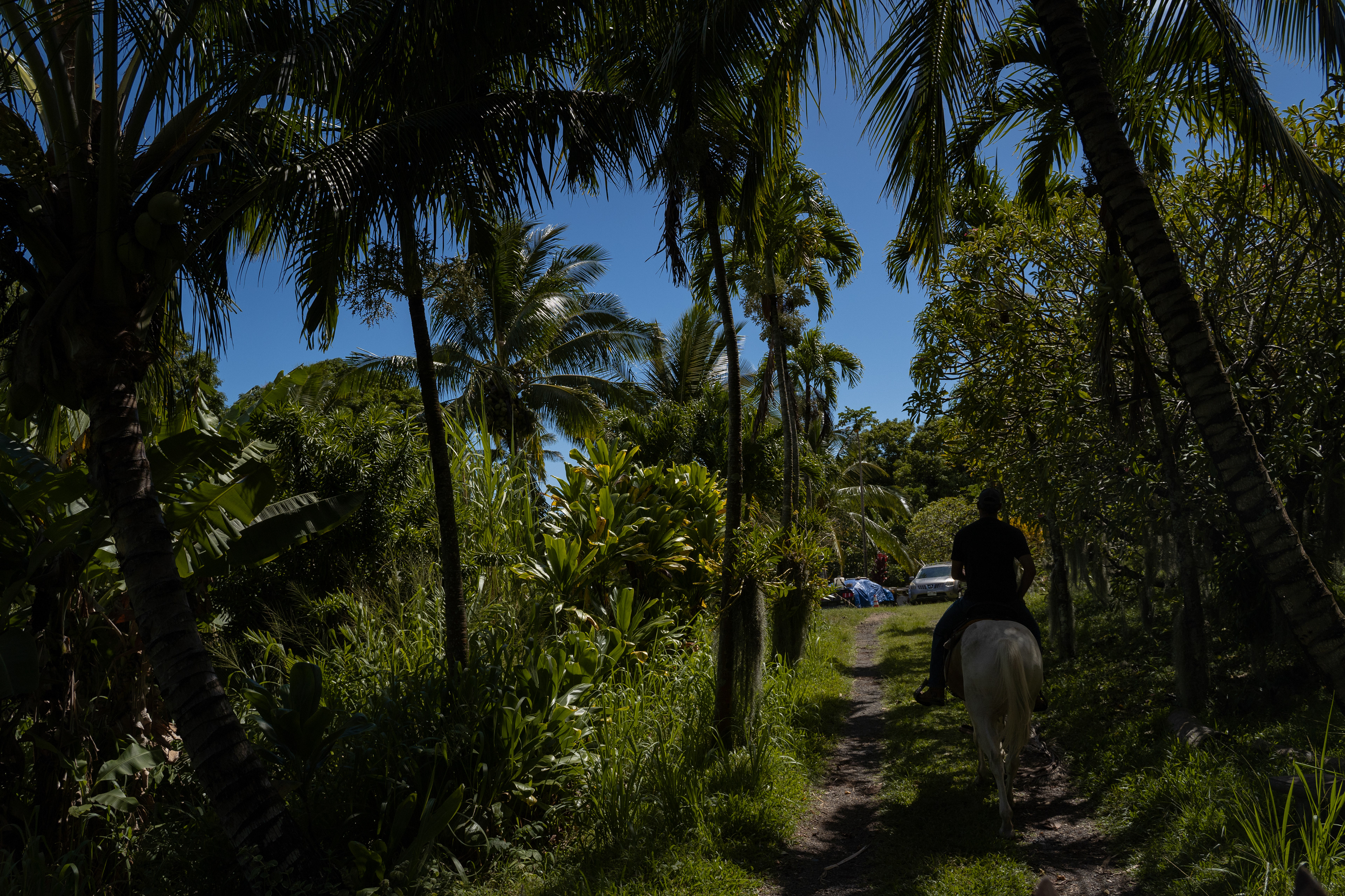 Hana, HI - AUGUST 24: Keone Smith rides toward his ranch in Hana, Hawaii on August 24, 2023. (Photo by Mengshin Lin for The Washington Post)