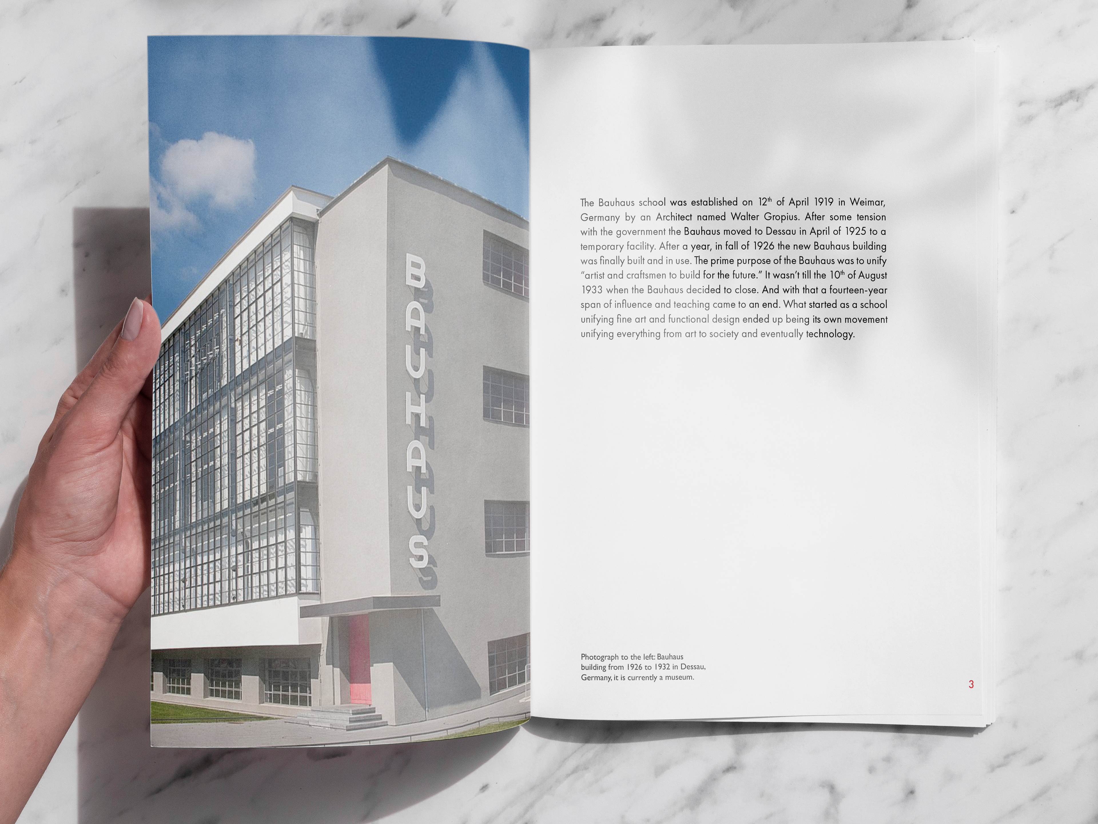 Hand holding Bauhaus catalog on the introduction page.