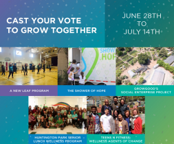 Concept, Brand Development and Website