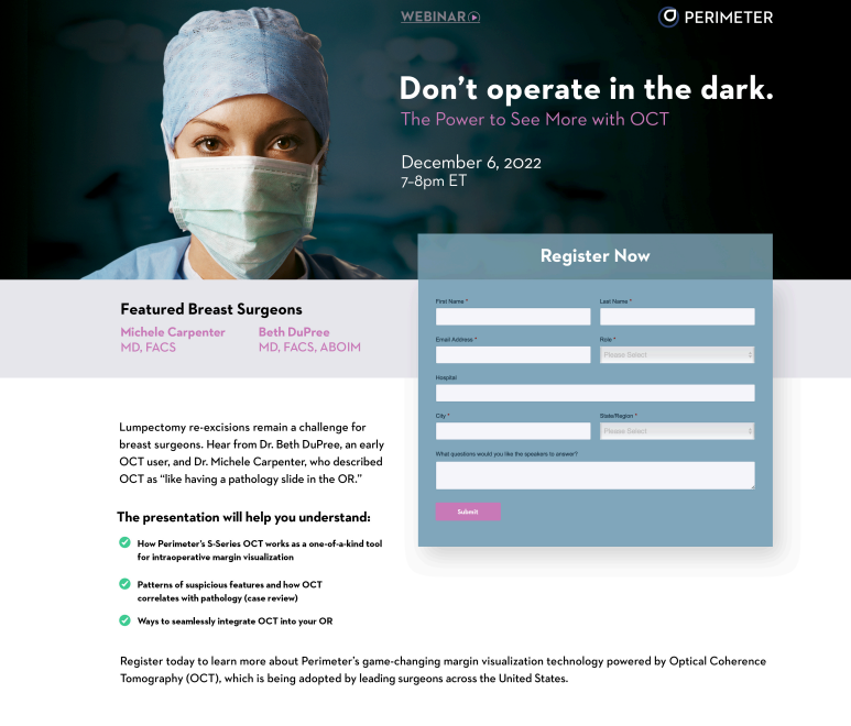 PERIMETER WEBSITE FORM