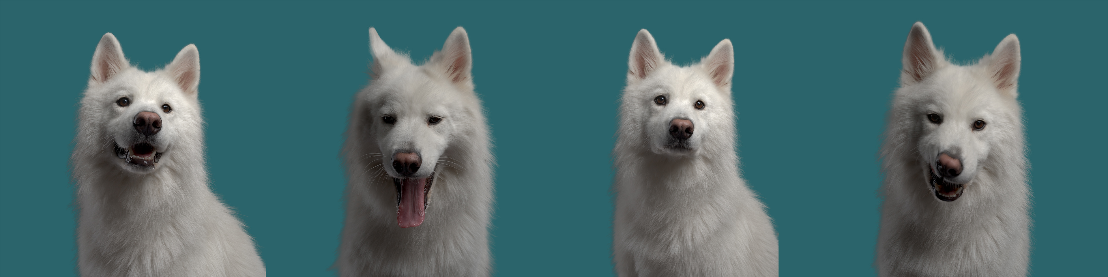 Multifacette horizontal