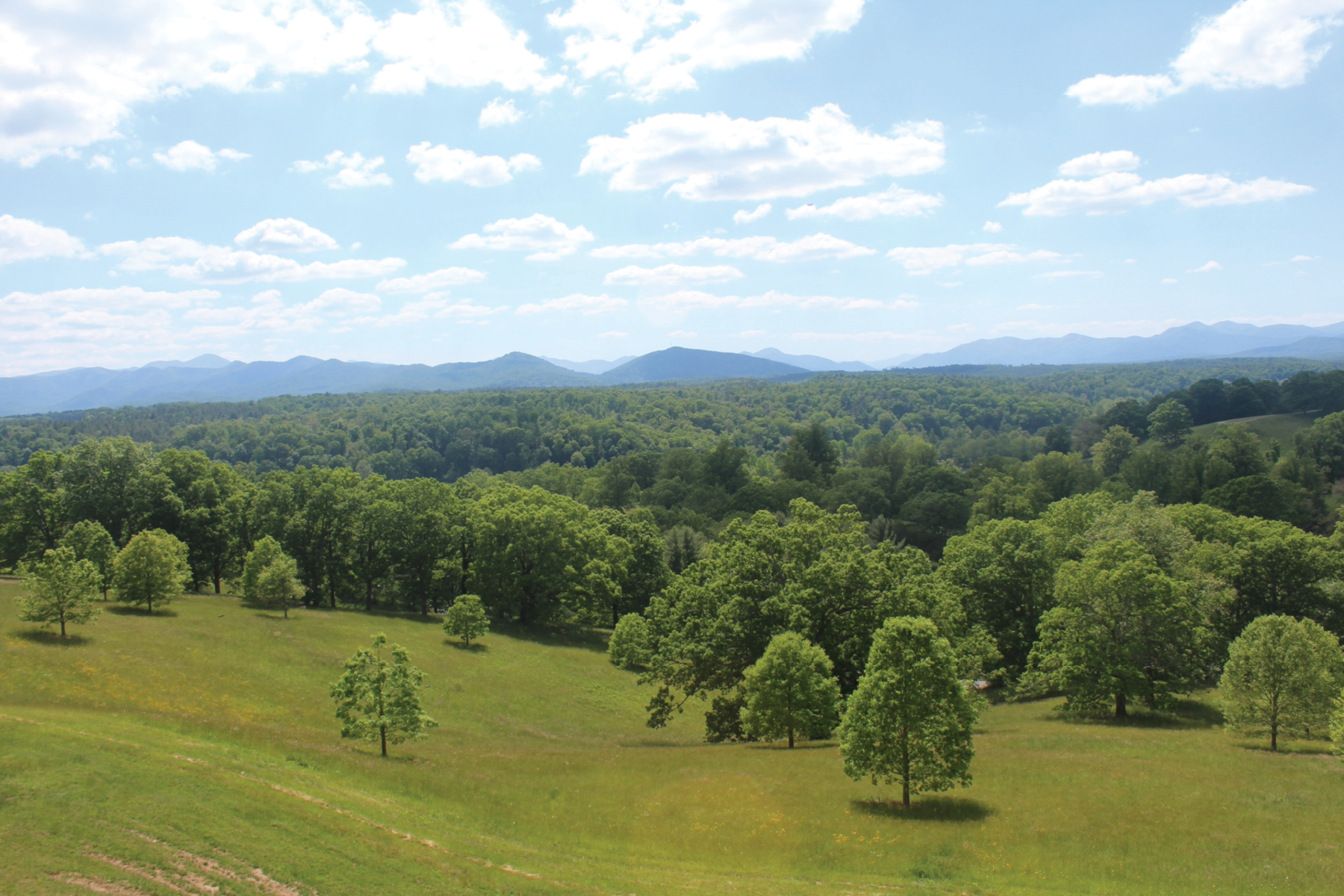 Rolling Hills, 2021, digital photograph, Tennessee