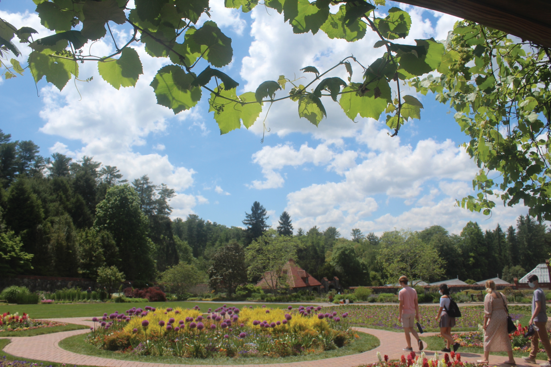 Framed Gardens, 2021, digital photograph, Tennessee