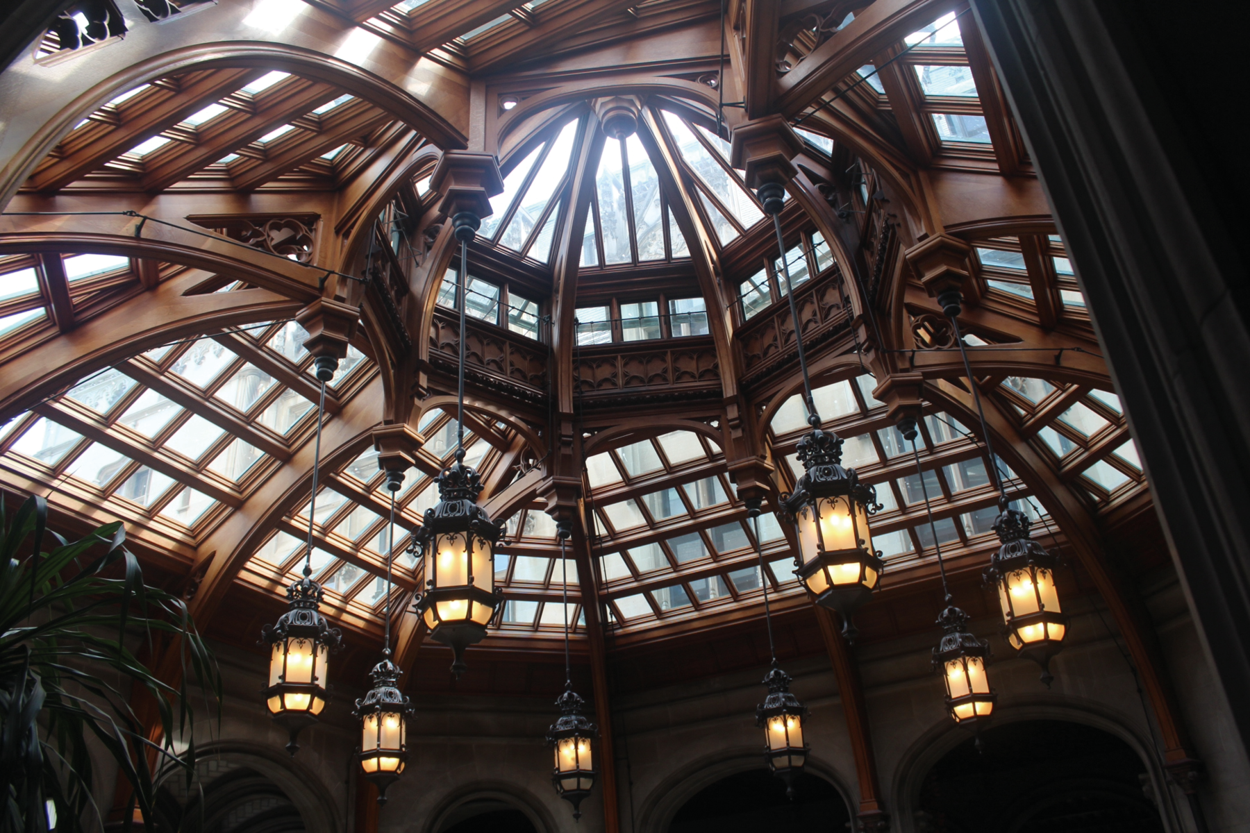 Glass Ceilings, 2022, digital photograph