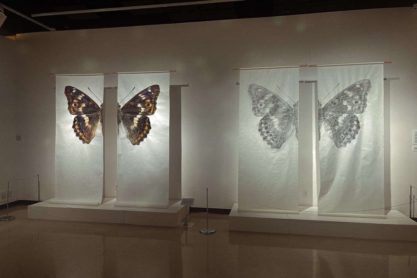 Museum of Wonder (2), 2022, digital photograph, Louisiana Art & Science Museum