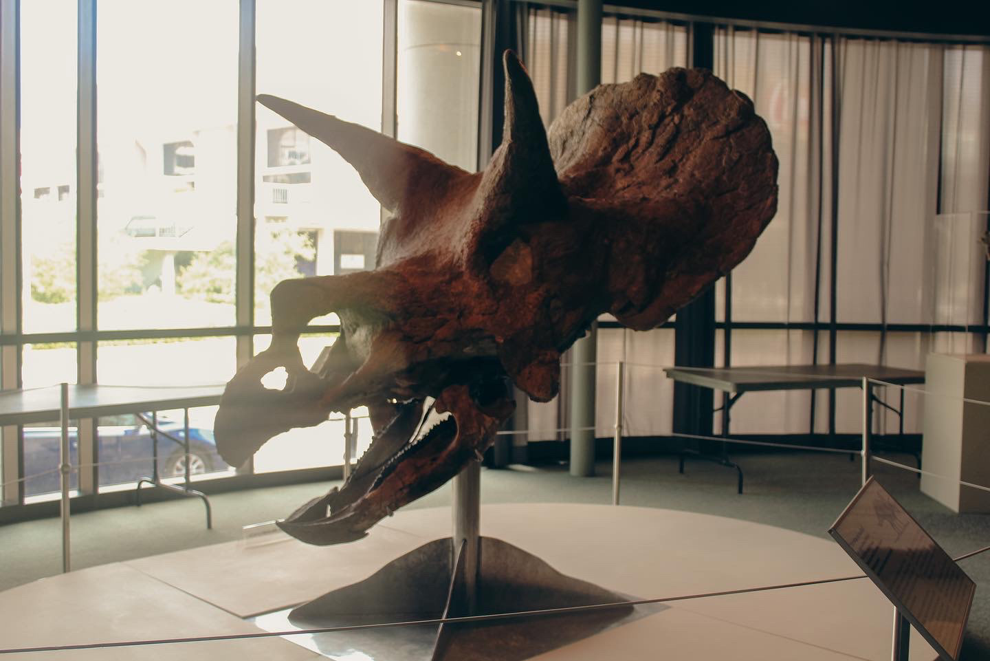 Museum of Wonder, 2022, digital photograph, Louisiana Art & Science Museum