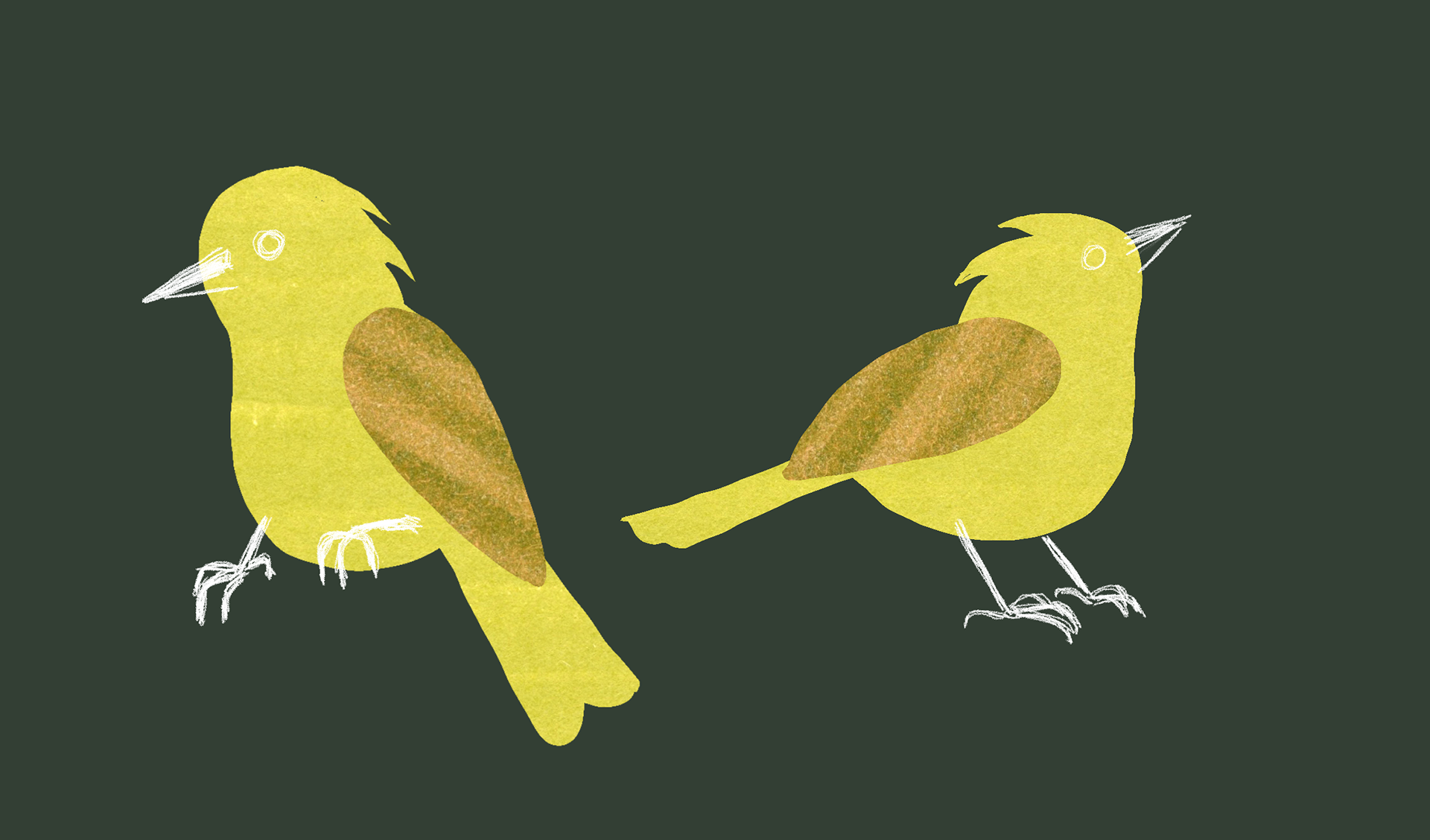 Yellow Bird character design, "Hope is the Thing with Feathers," 2023, made with Procreate