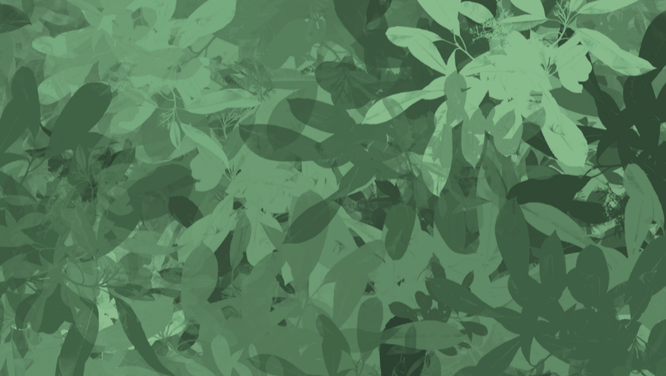 Bookend Leaf Pattern, "April Showers Bring May Flowers," 2022, made with Procreate