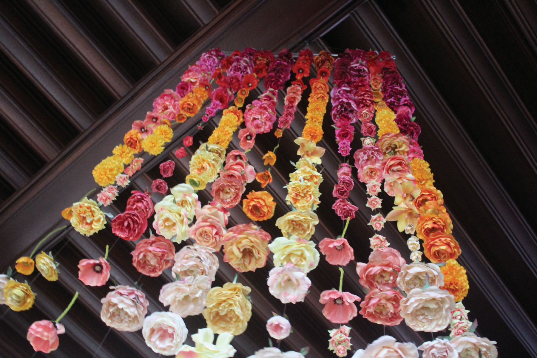 Falling Florals, 2021, digital photograph, Tennessee