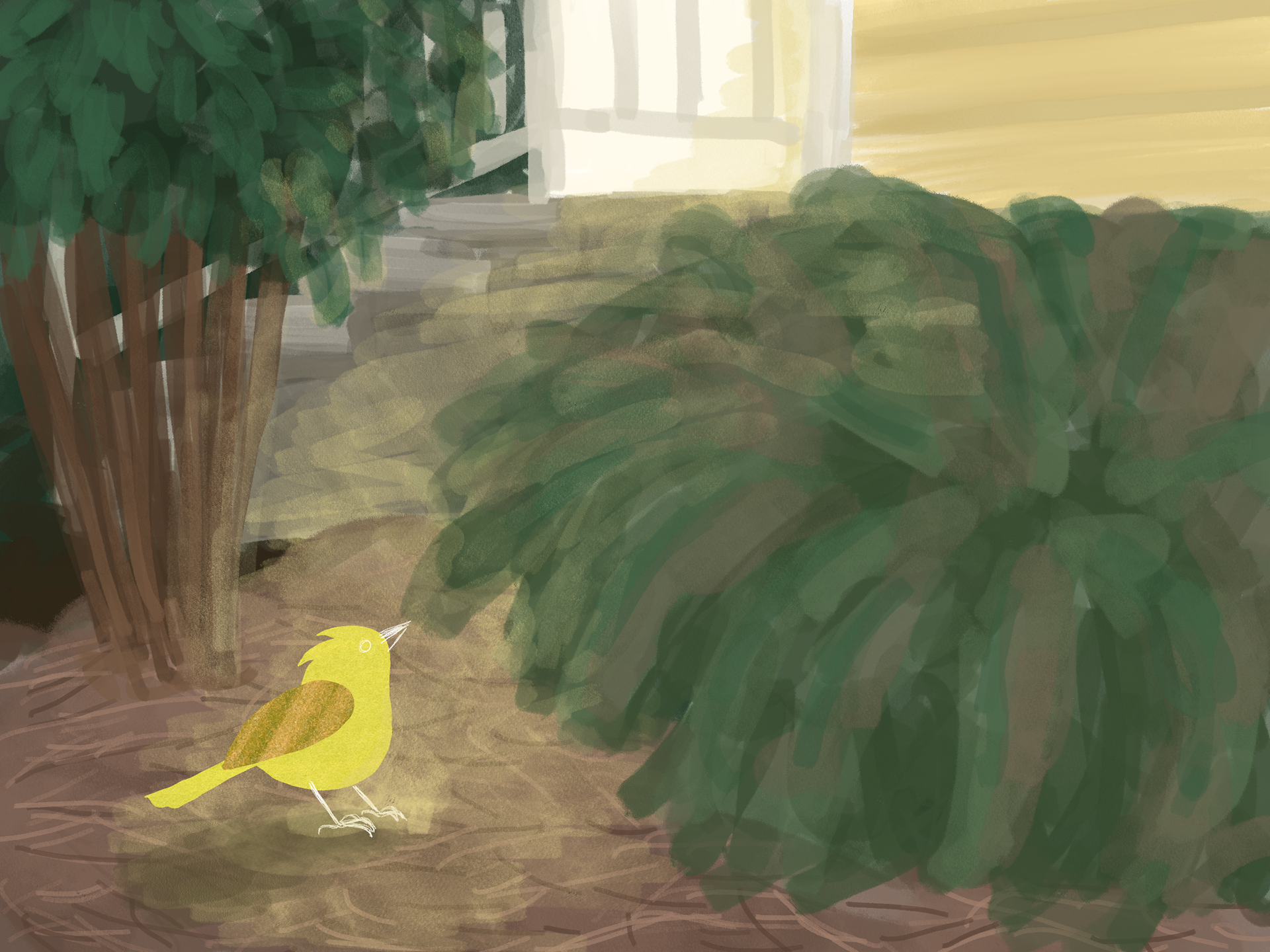 "Hope is the Thing With Feathers" early concept art, 2023, made with Procreate