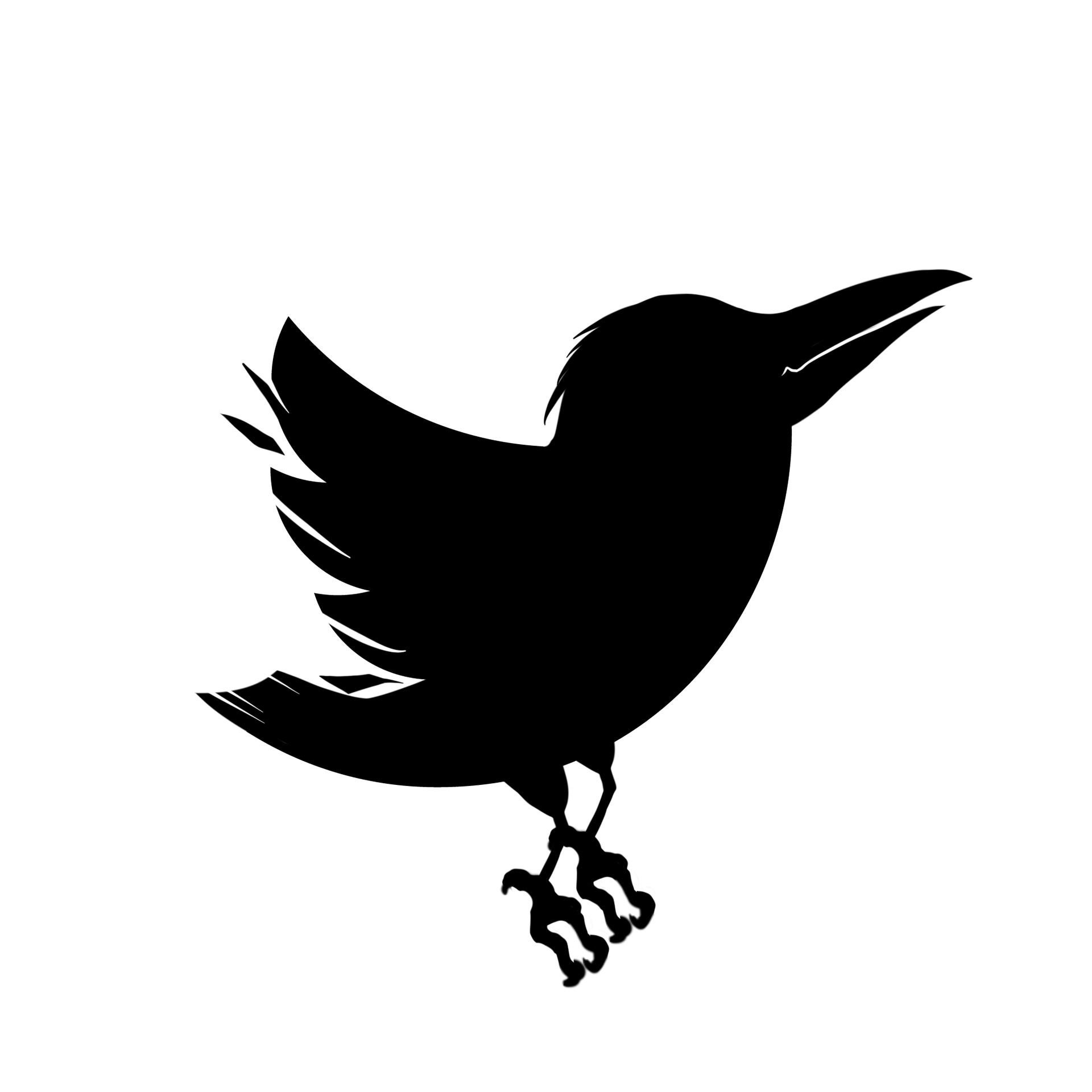 Twitter icon