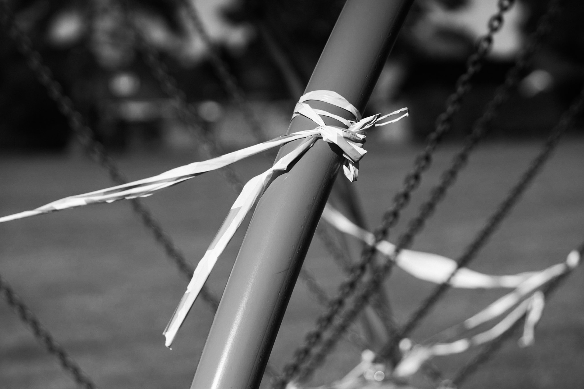 Cut the COVID Ribbon #2