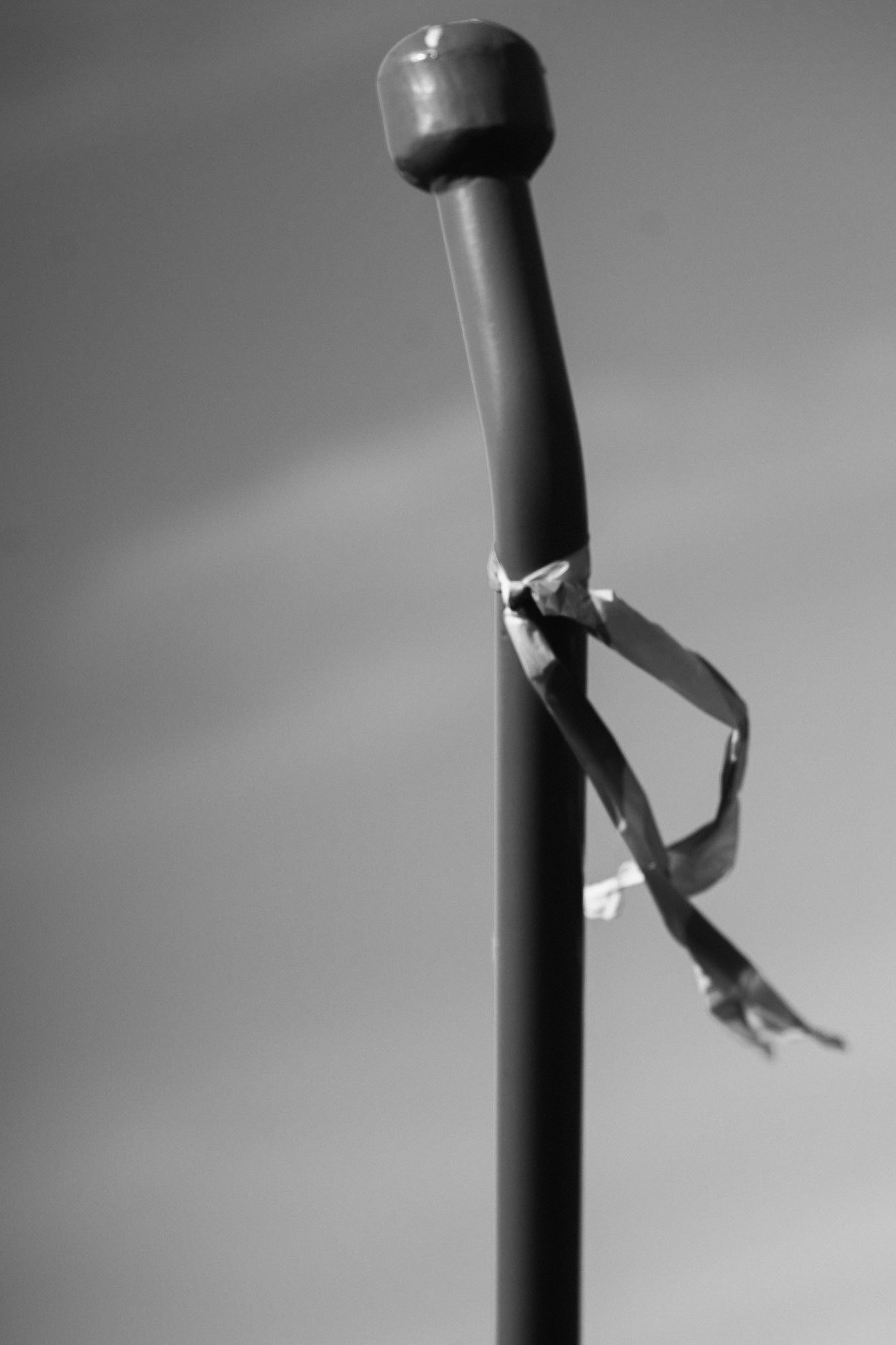 Cut the COVID Ribbon #5