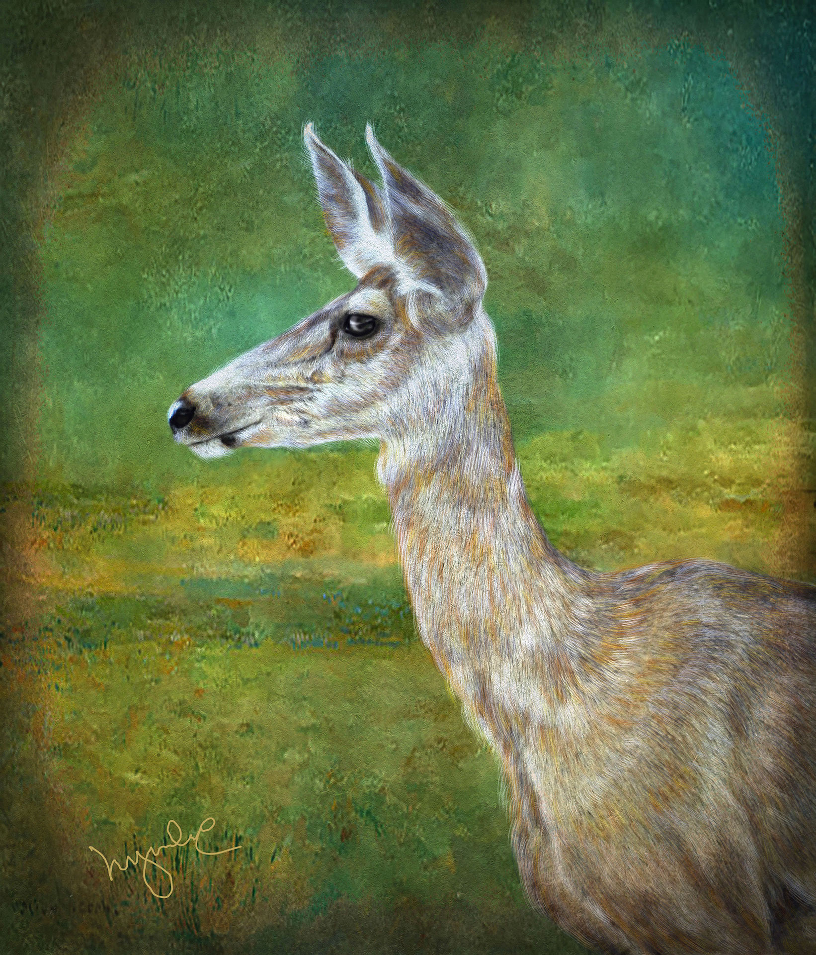 Deer