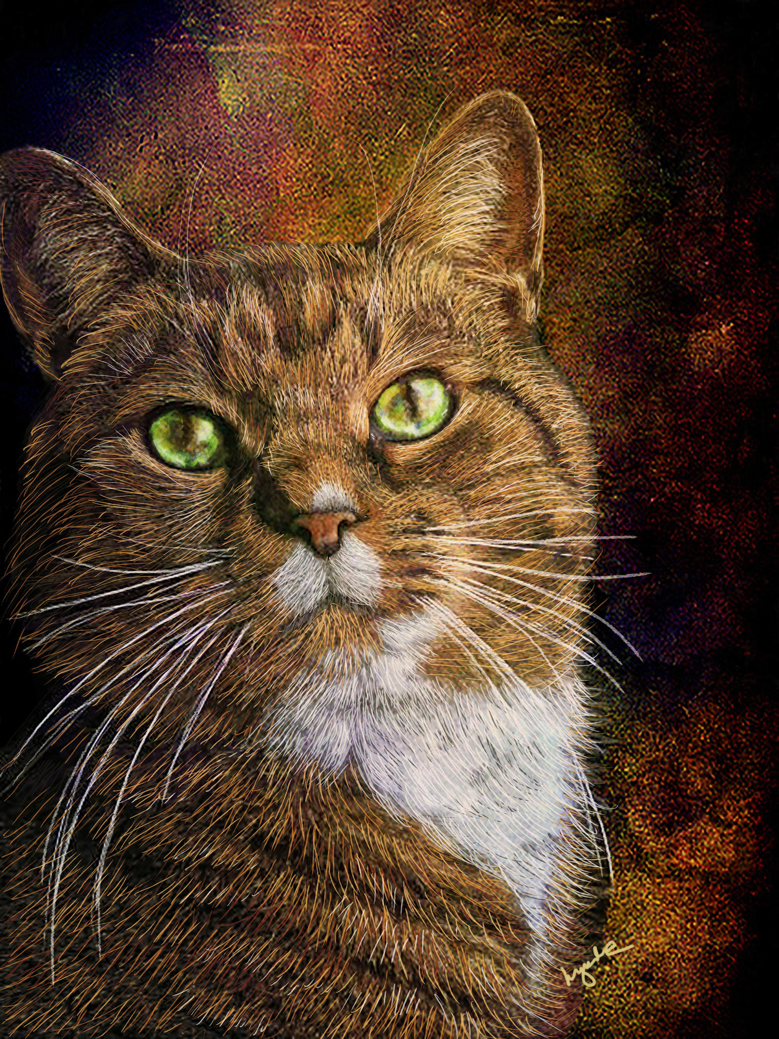 MINOLTA DIGITAL CAMERA