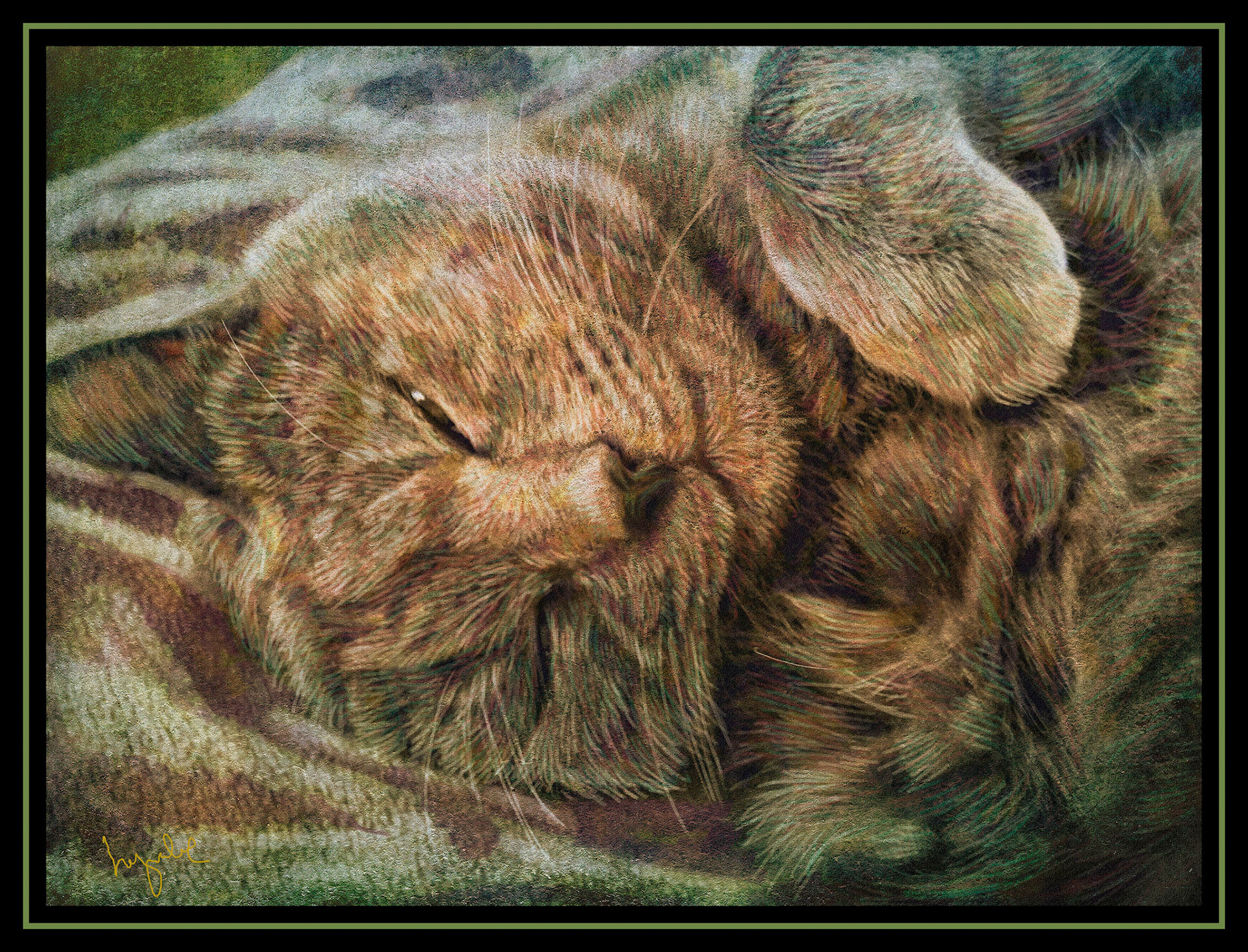 OLYMPUS DIGITAL CAMERA