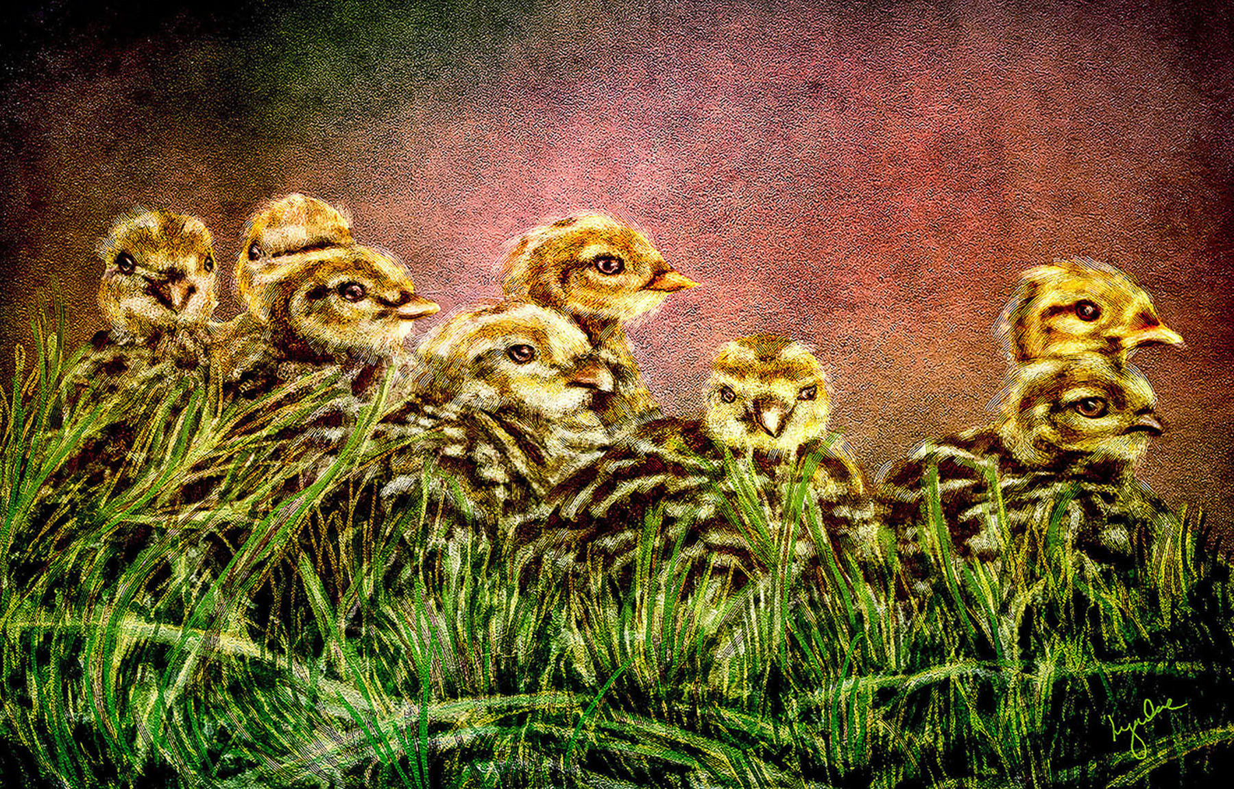 Baby Quail