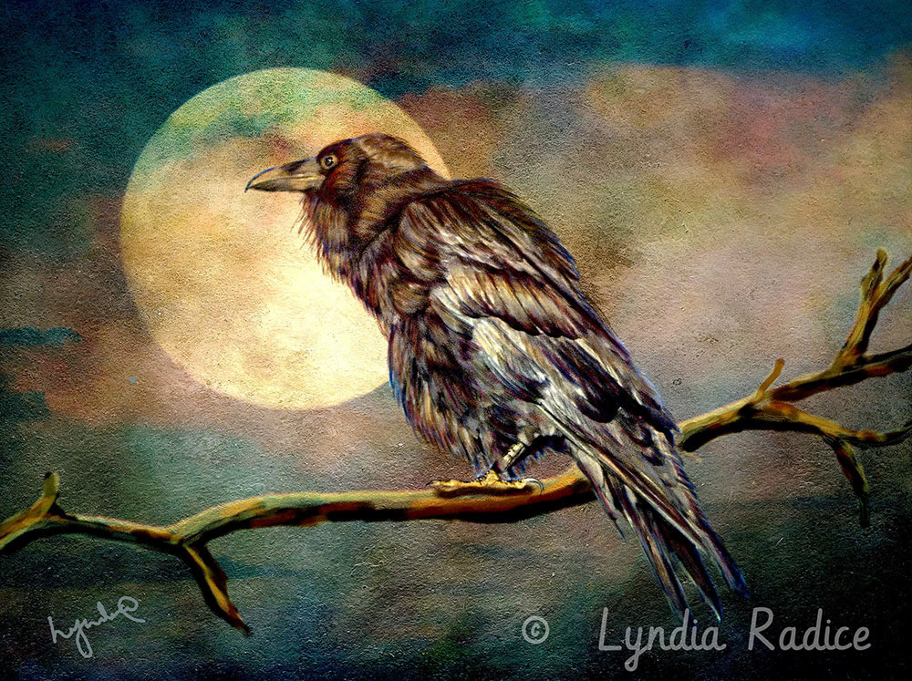 Raven and Moon