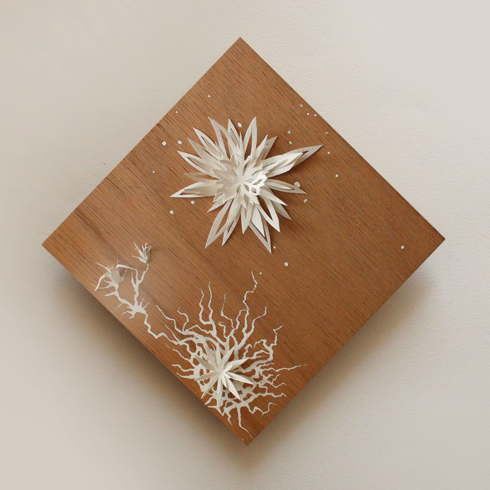 Northern Star