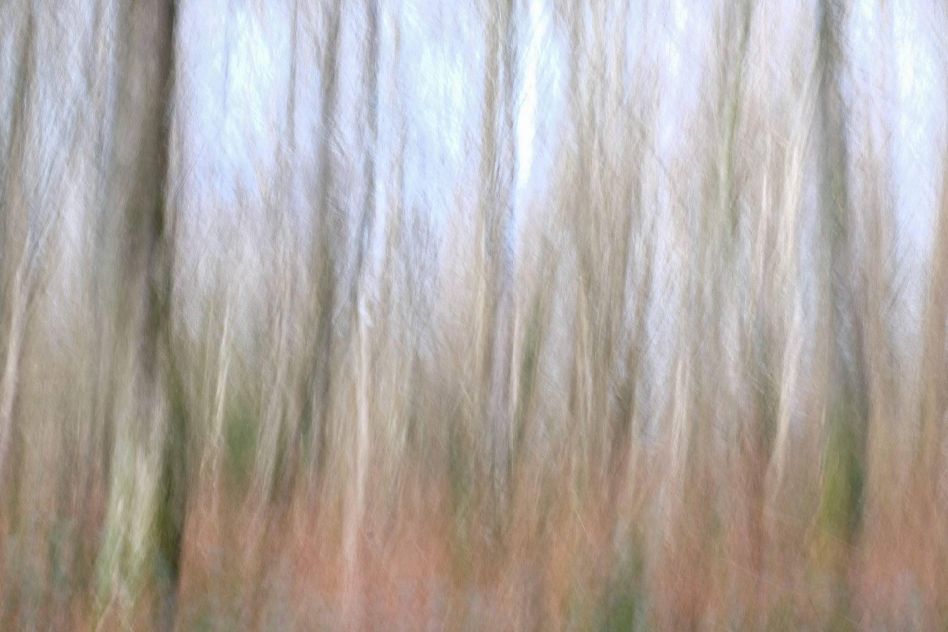 The Movement of Life