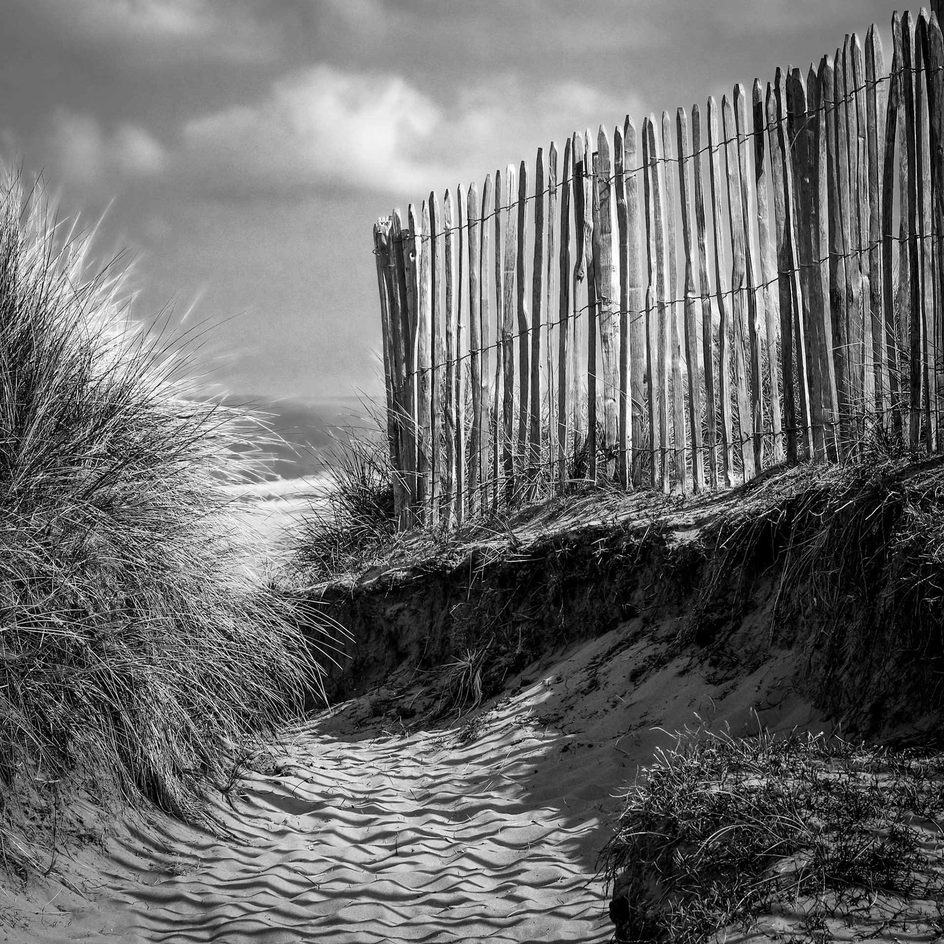 To the Sea