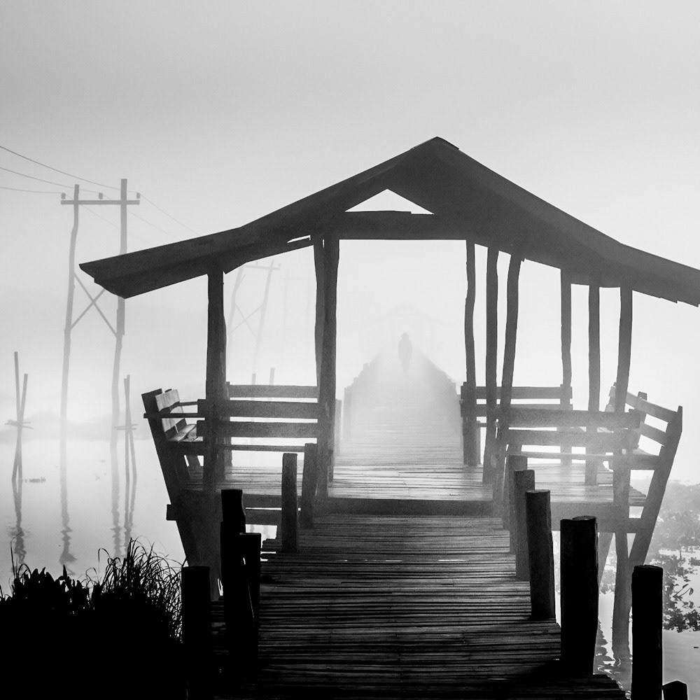 Into the Mist