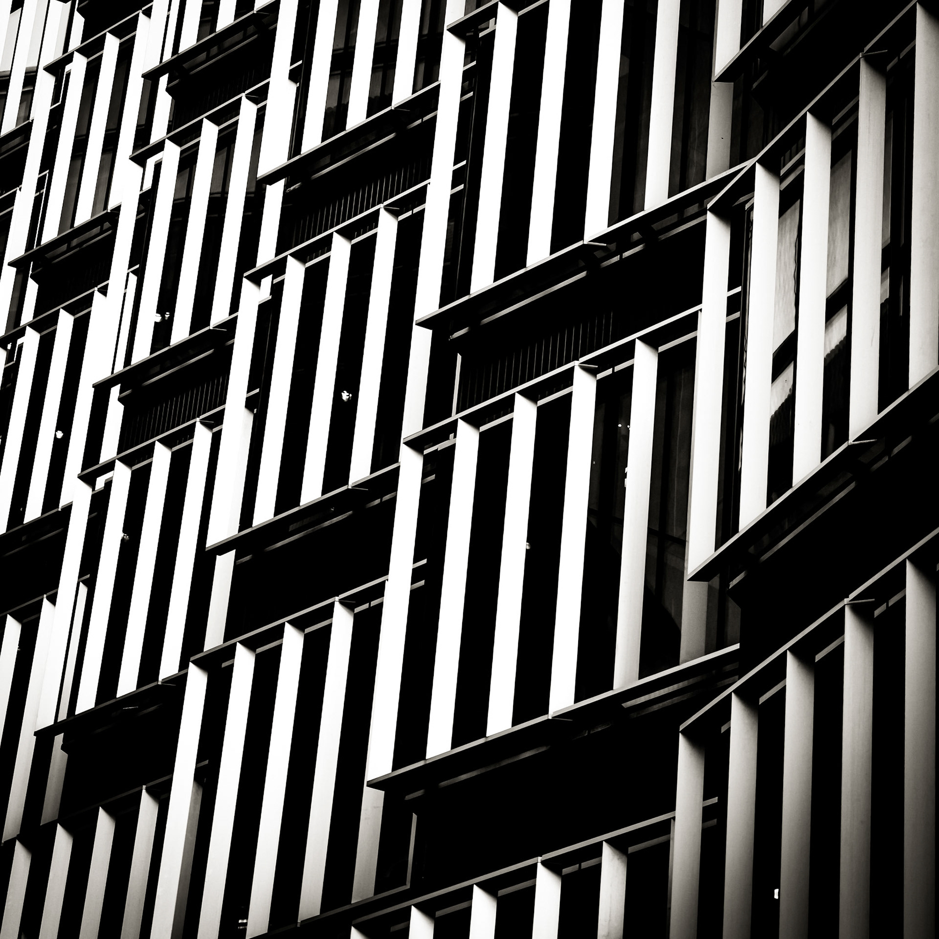 City Pinstripe
