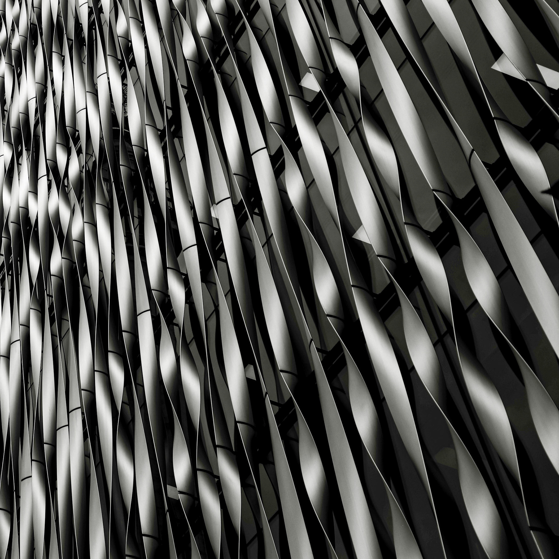 Ripples