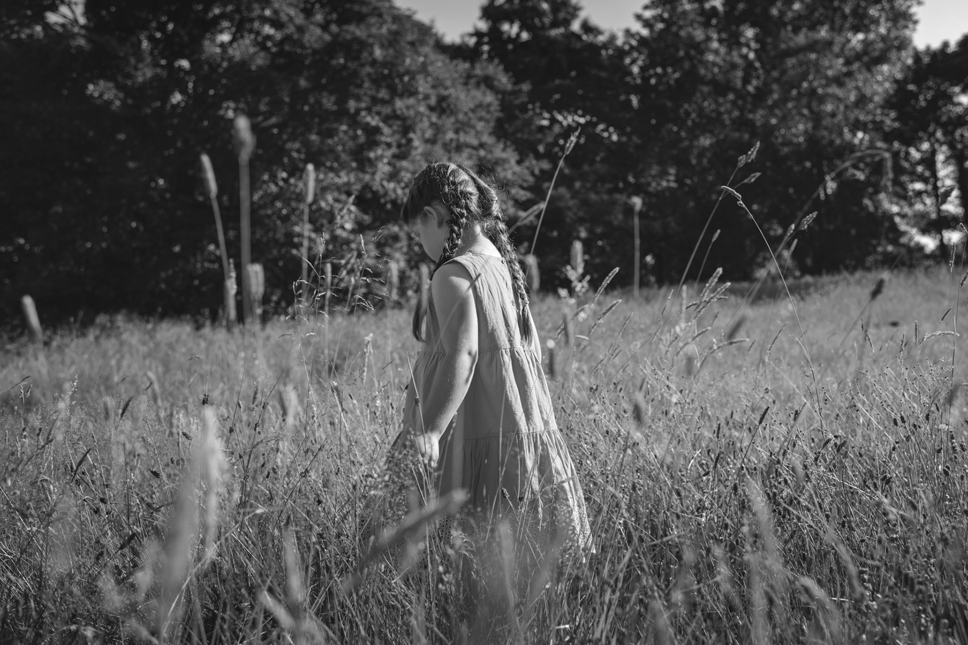 SFA-073-BWjpg.jpg