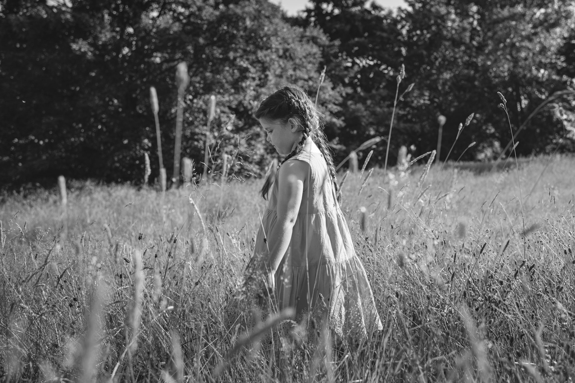 SFA-074-BW.jpg