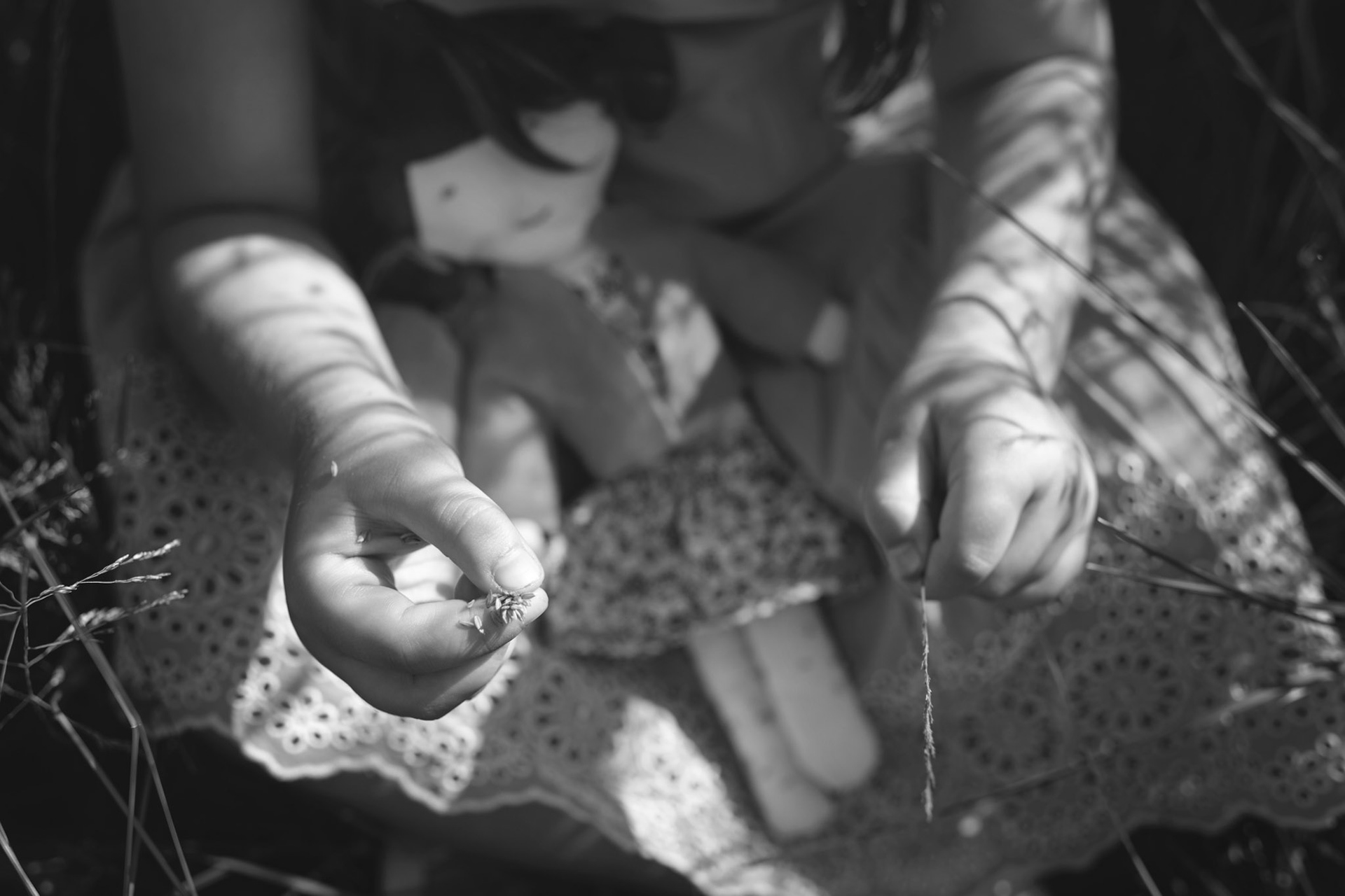 SFA-050-BW.jpg